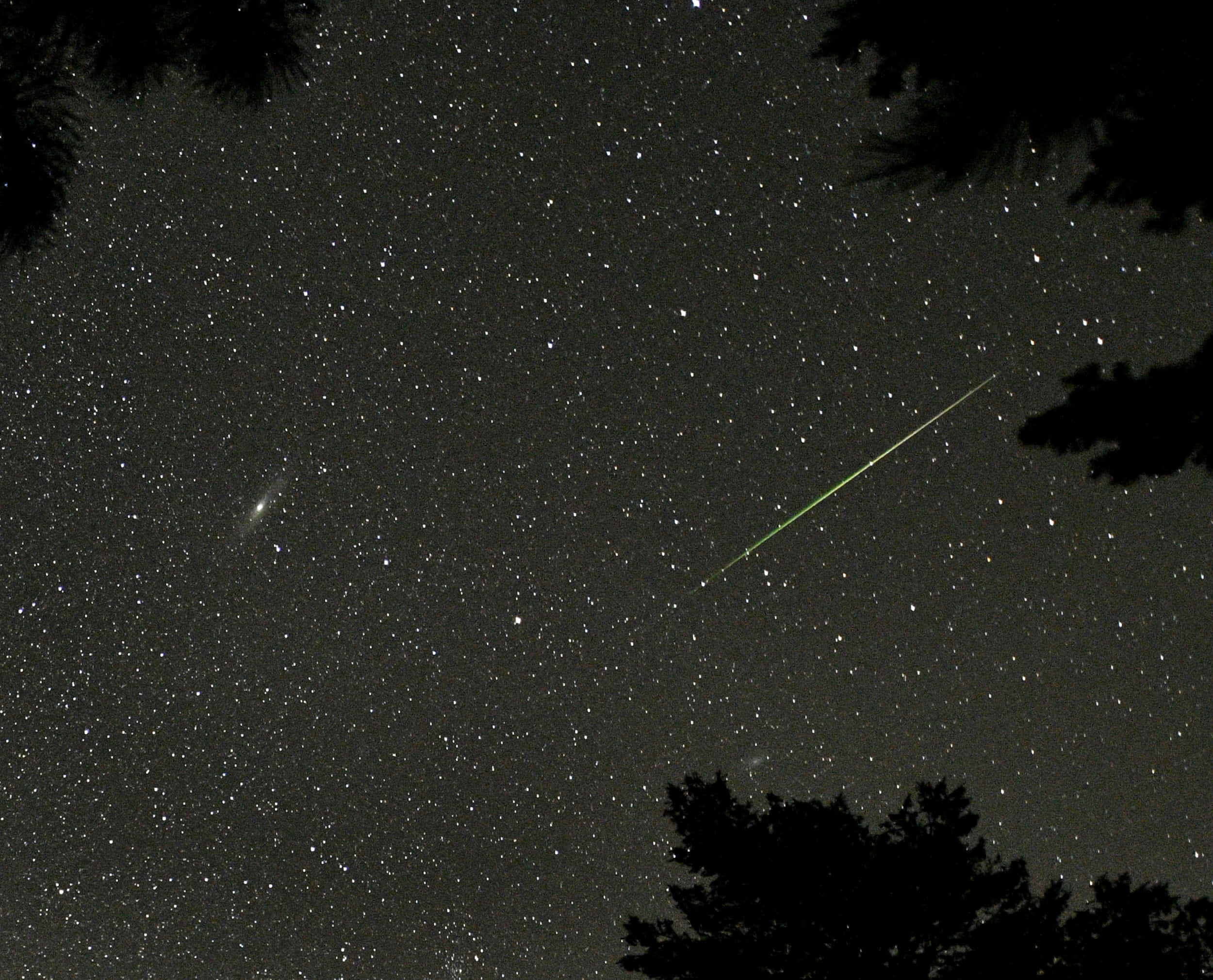 流星劃過夜空 壁紙 — 一顆明亮的綠色流星劃過由黑暗樹影框住的星空夜空。
