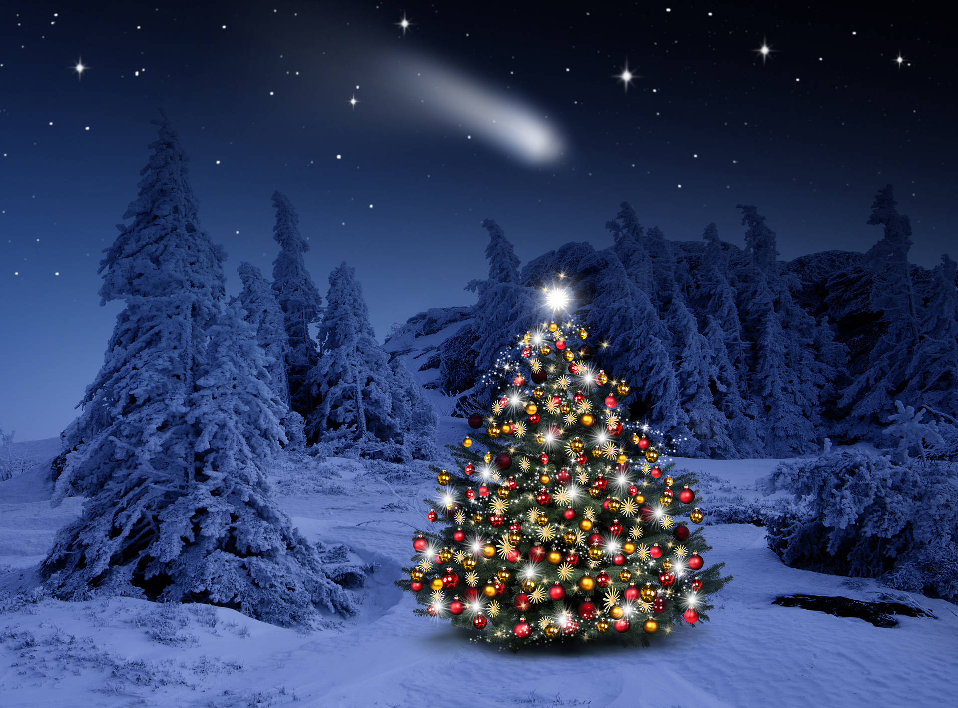 雪地森林中裝飾的聖誕樹，夜晚有星星和彗星。