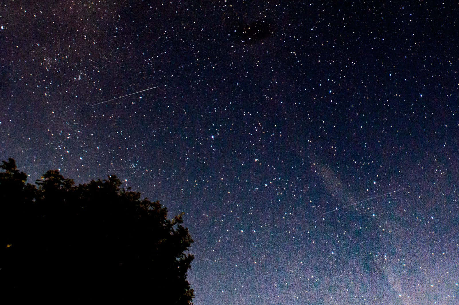 流星緩緩墜入夜空，散發柔光 壁紙 — 一個繁星點點的夜空，有兩條微弱的流星軌跡劃過深藍色的天際，位於樹梢的剪影之上。