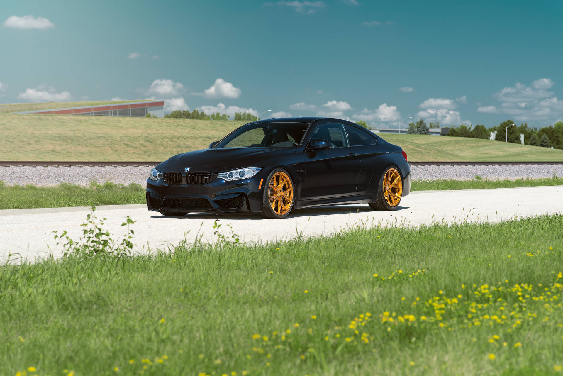 黑色BMW M4金色輪圈，停泊在綠草和黃色野花間的道路上，藍天白雲。