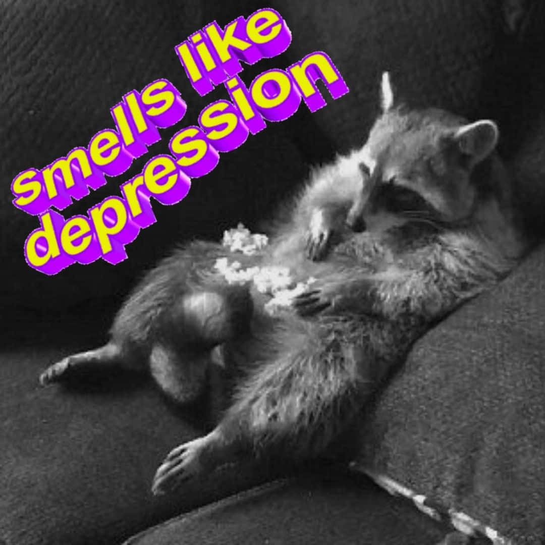 一隻浣熊躺在沙發上，有爆谷和文字疊加寫著「smells like depression」。