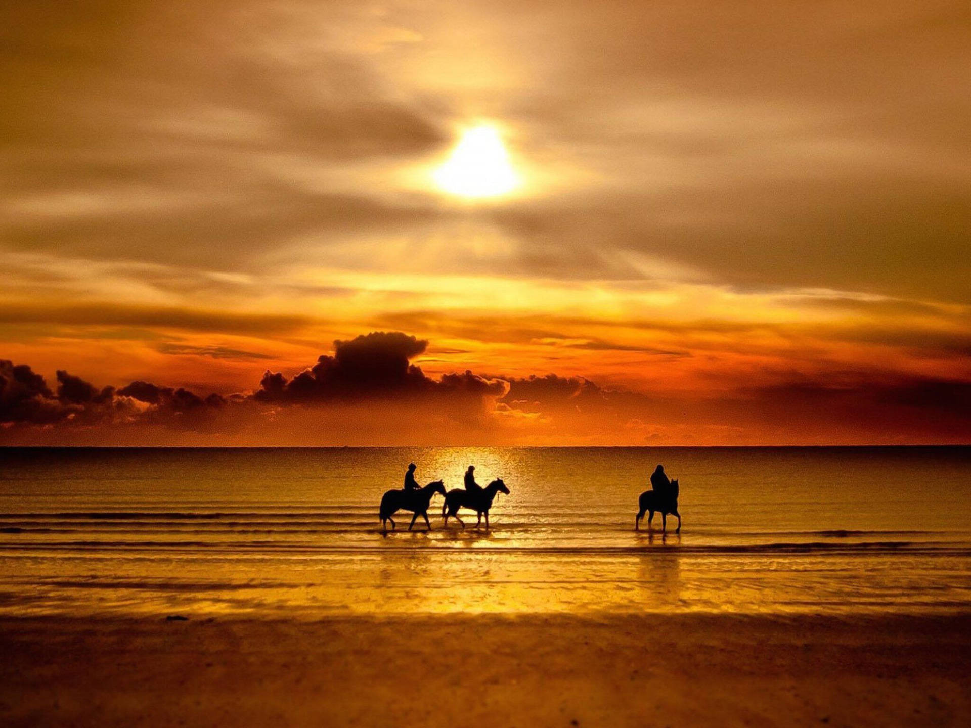 三個騎馬剪影在金色夕陽下的海灘上。