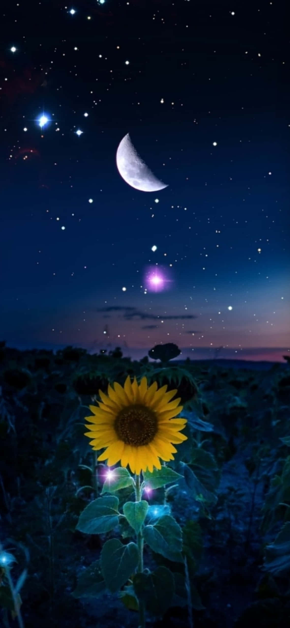 浪漫燦爛的日落 壁紙 — 一朵發光的向日葵矗立在田野中，夜空繁星點點，有一彎新月和紫色星雲。