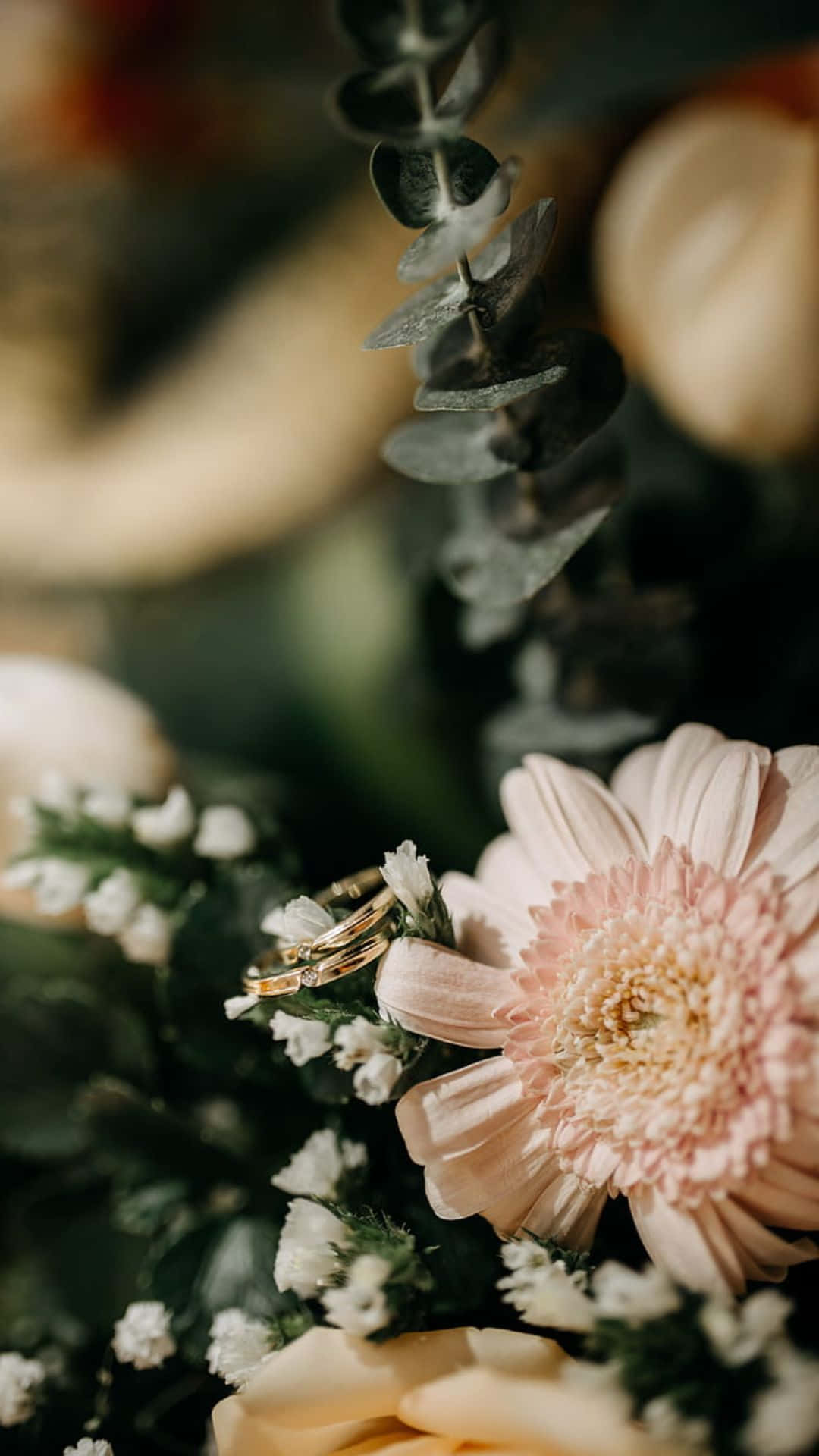 浪漫特瓦爾 Daisy 婚禮背景 壁紙 — 兩隻金色結婚戒指輕輕放在柔軟的粉紅色非洲菊雛菊上，周圍有尤加利葉和滿天星。
