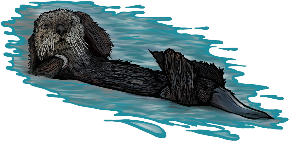 浮水水獺插畫 壁紙 — 一隻卡通水獺在黑色背景的藍綠色水面上仰面漂浮。
