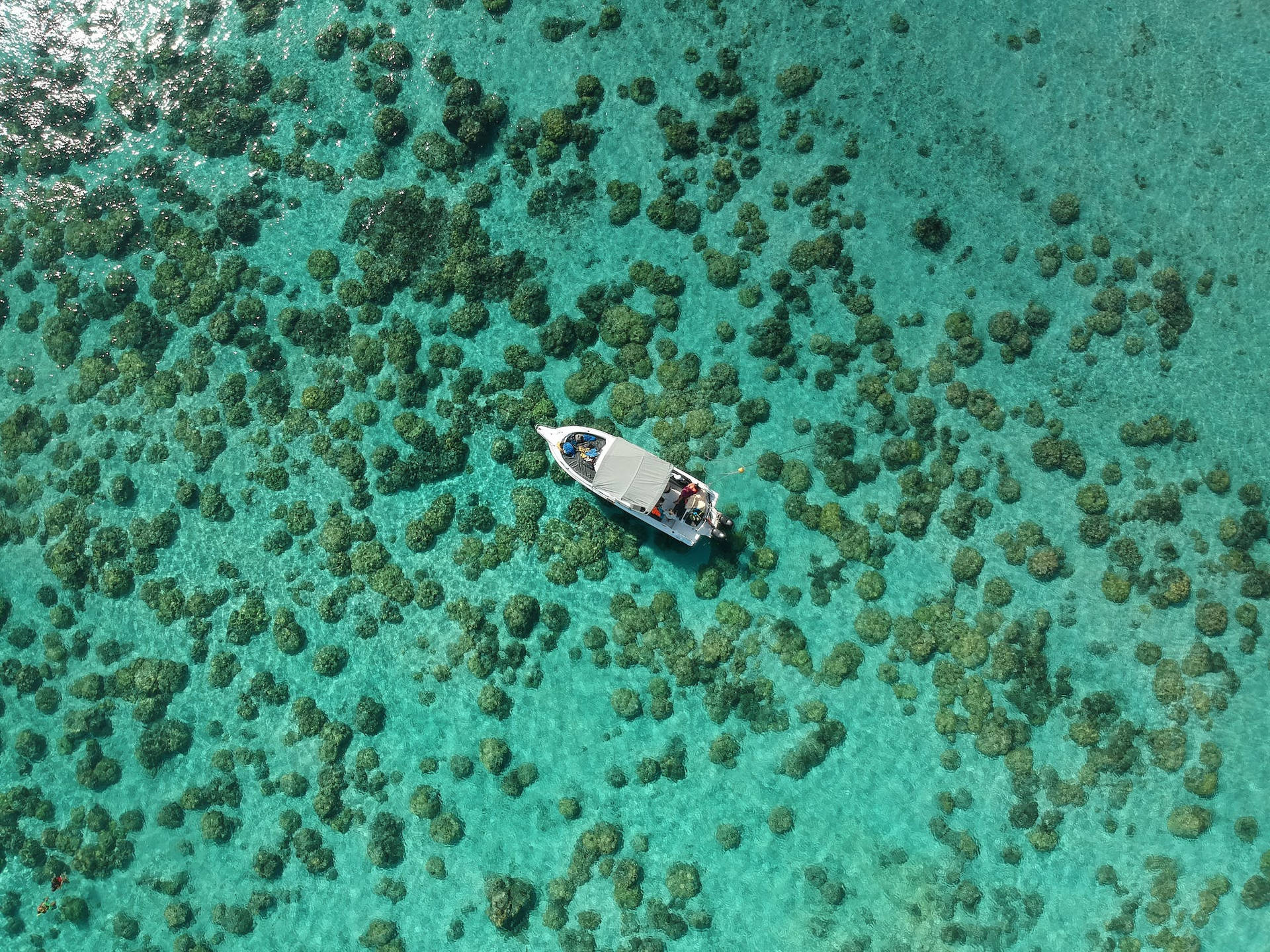 一艘小船在清澈碧綠的海水上漂浮在珊瑚礁上方。