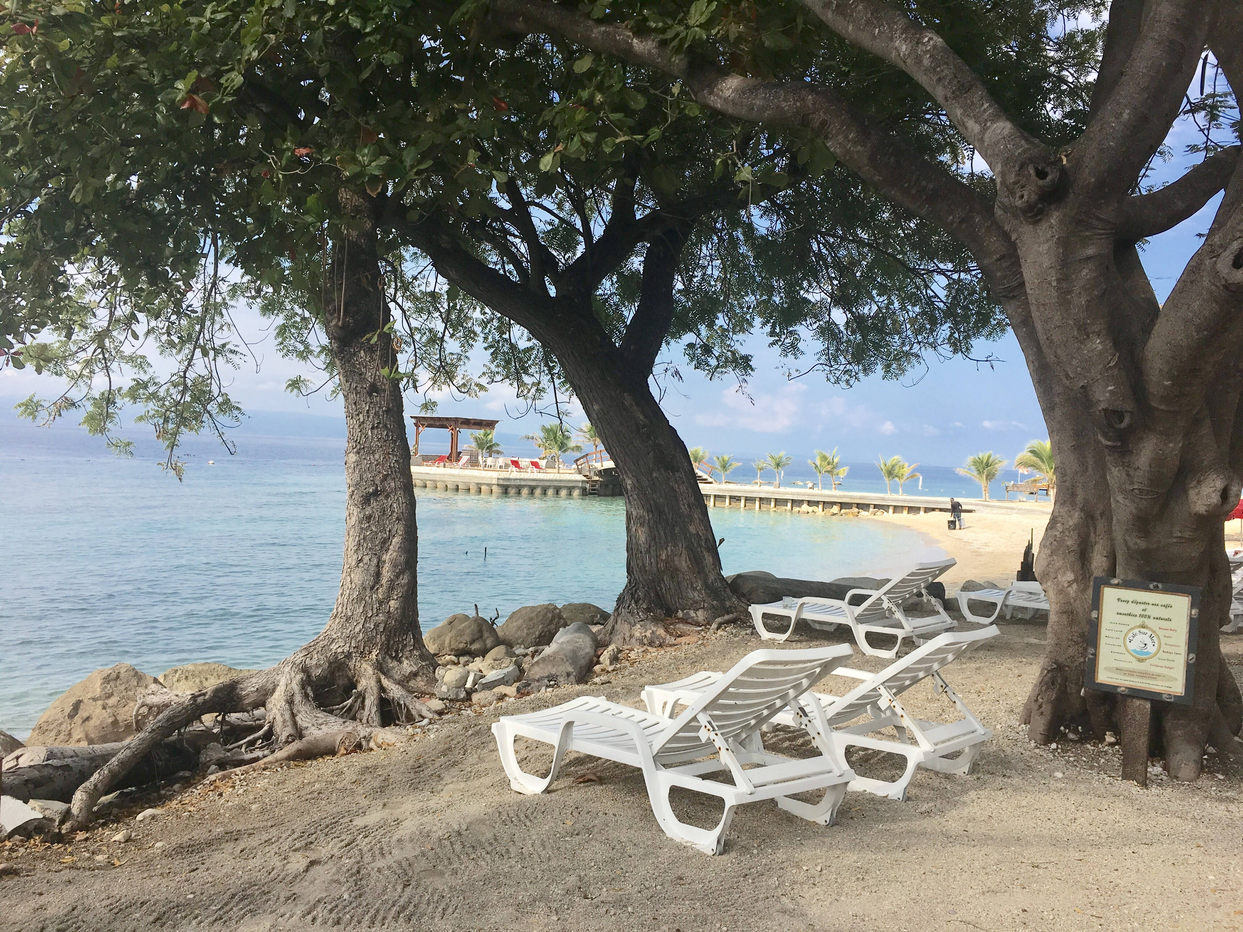 海地海灘景觀 壁紙 — 白色躺椅在葉茂的樹下，安放在平靜碧綠海水旁的沙灘上。