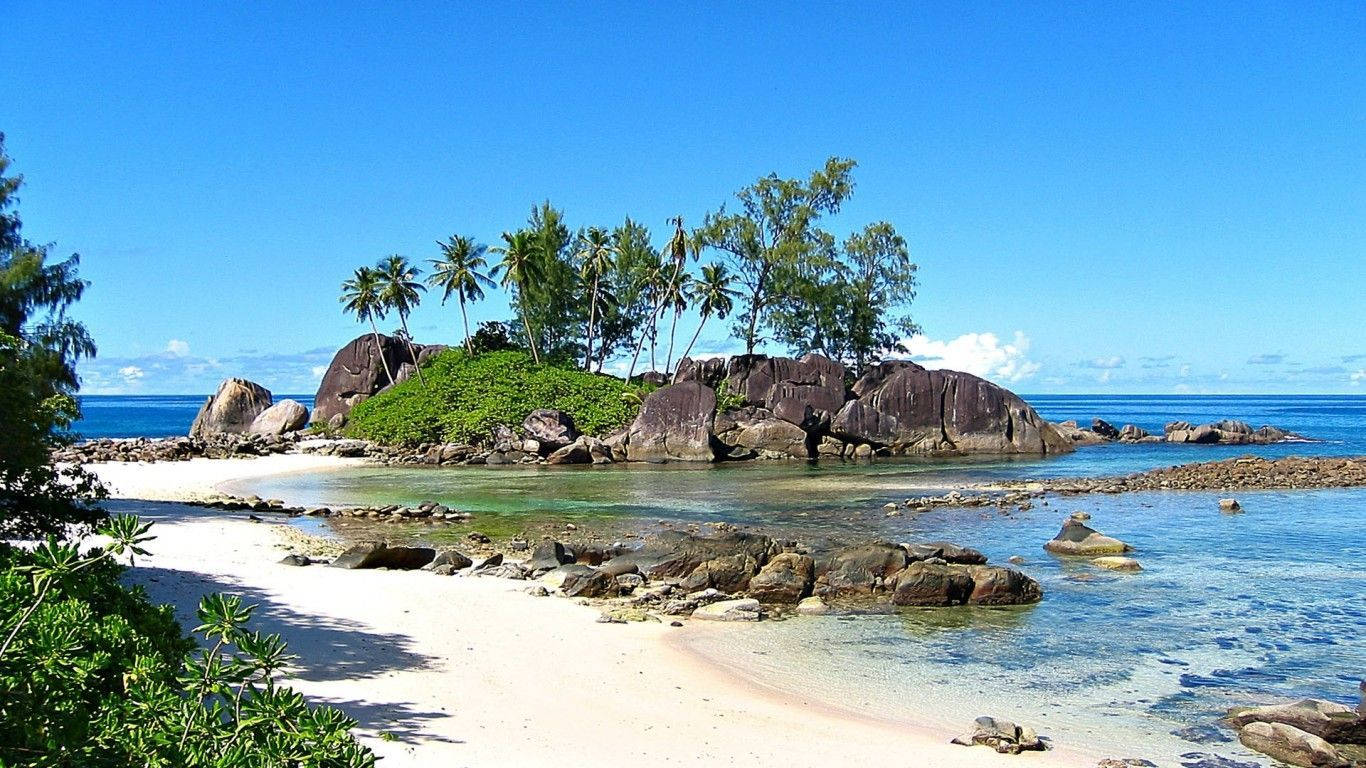 海地熱帶海灘 壁紙 — 一個原始熱帶海灘，擁有白色沙灘、碧綠海水和巨大岩石，周圍環繞著茂密的棕櫚樹，天空清澈湛藍。