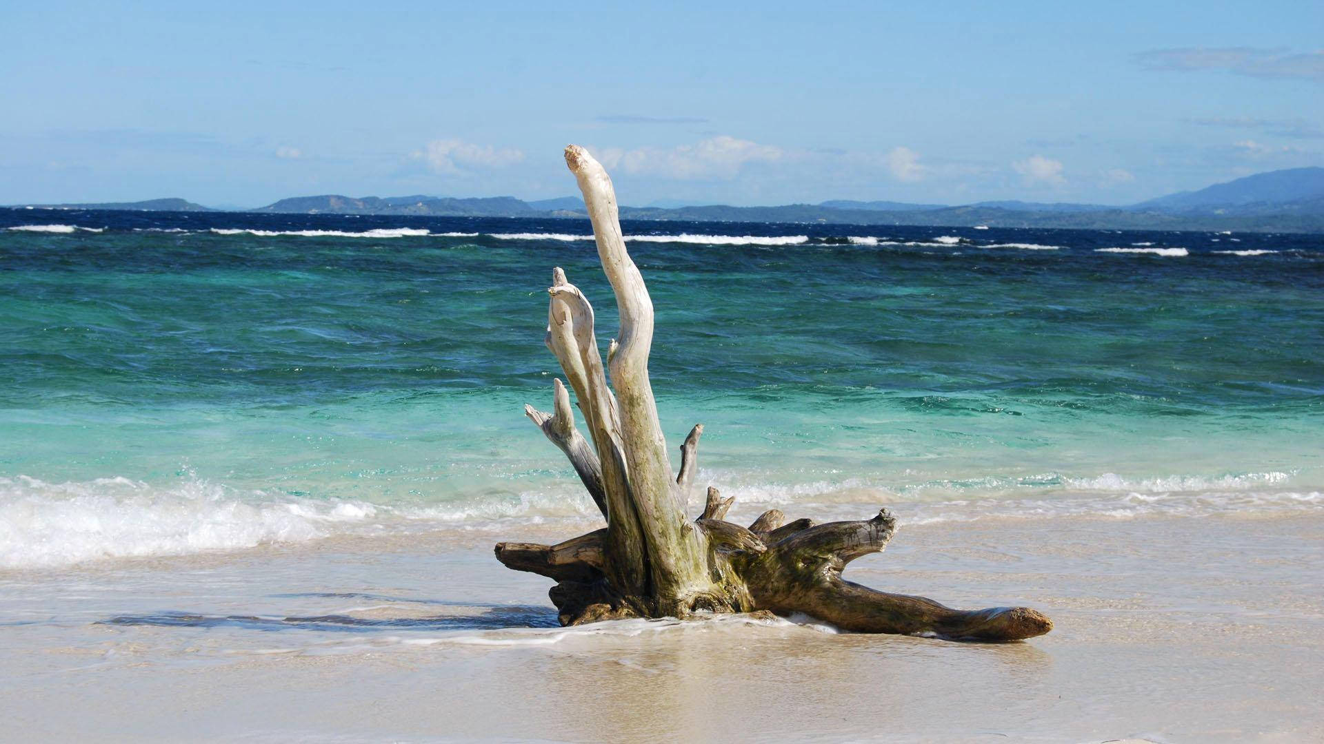 海地白沙海岸線 壁紙 — 一塊經風化的浮木豎立在清澈藍天下的沙灘淺水處，遠處有山巒，水面呈綠松石色。