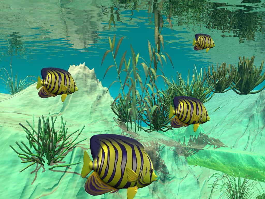 刺蝶魚在清澈的藍綠色水中游過綠色海草。