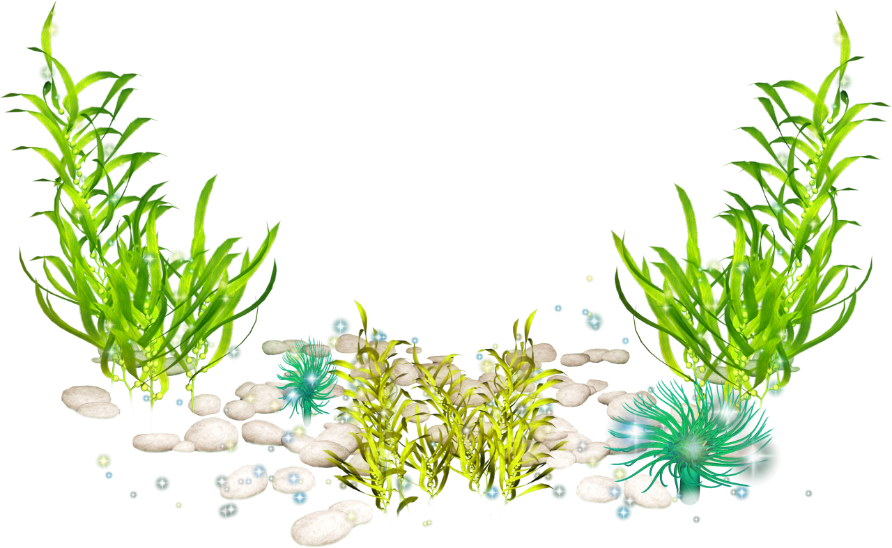 海底海草場景 壁紙