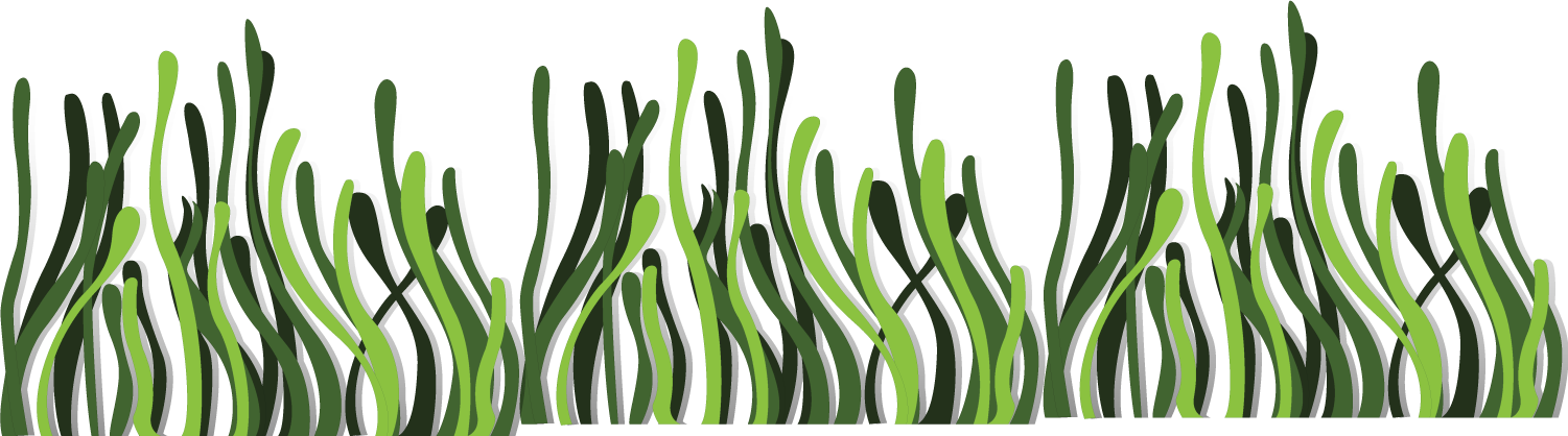 海底海草插畫 壁紙