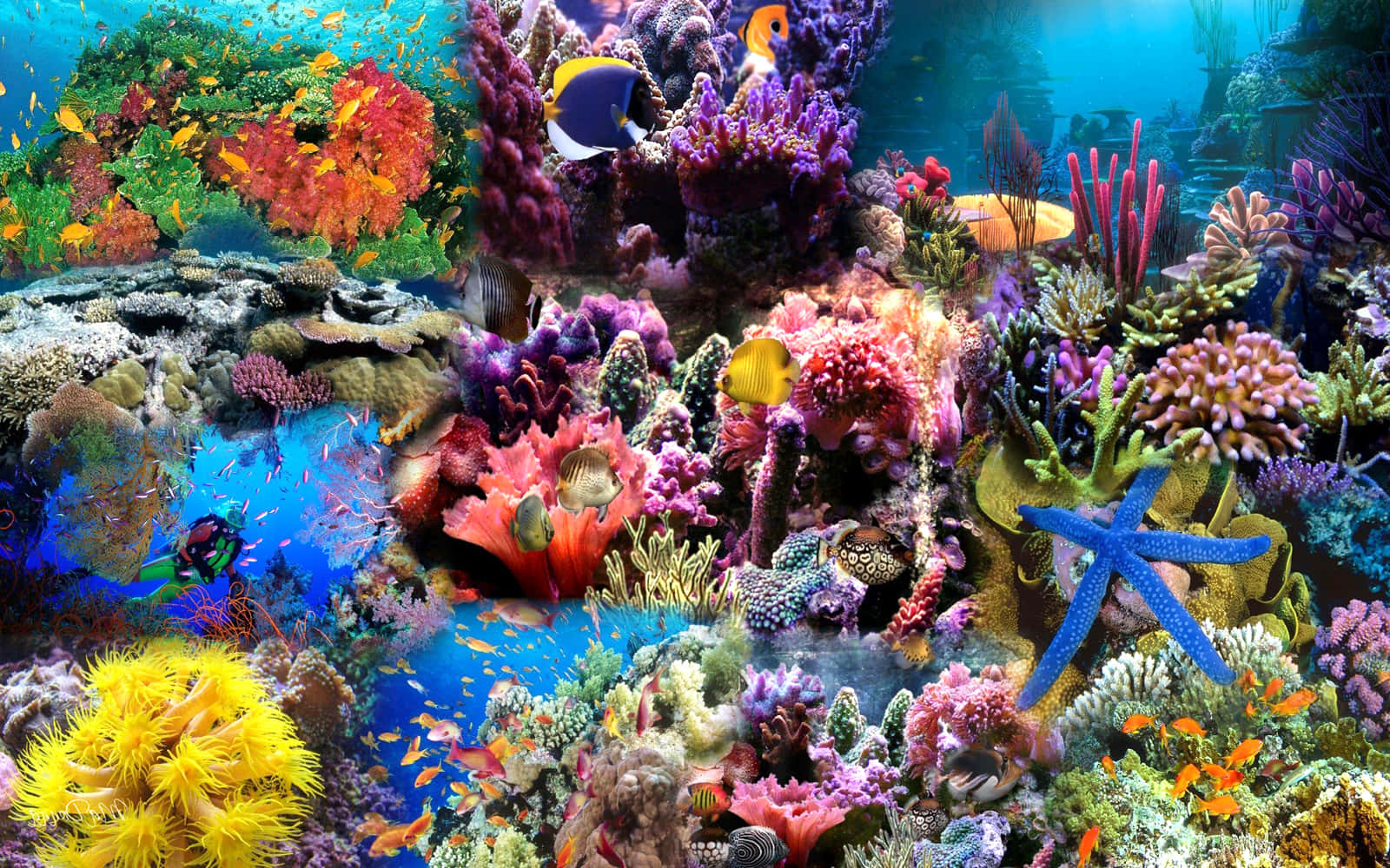 海底珊瑚拼貼美學圖 壁紙 — 充滿活力的珊瑚礁，色彩繽紛的魚類和藍色海星在清澈的藍色海水下。