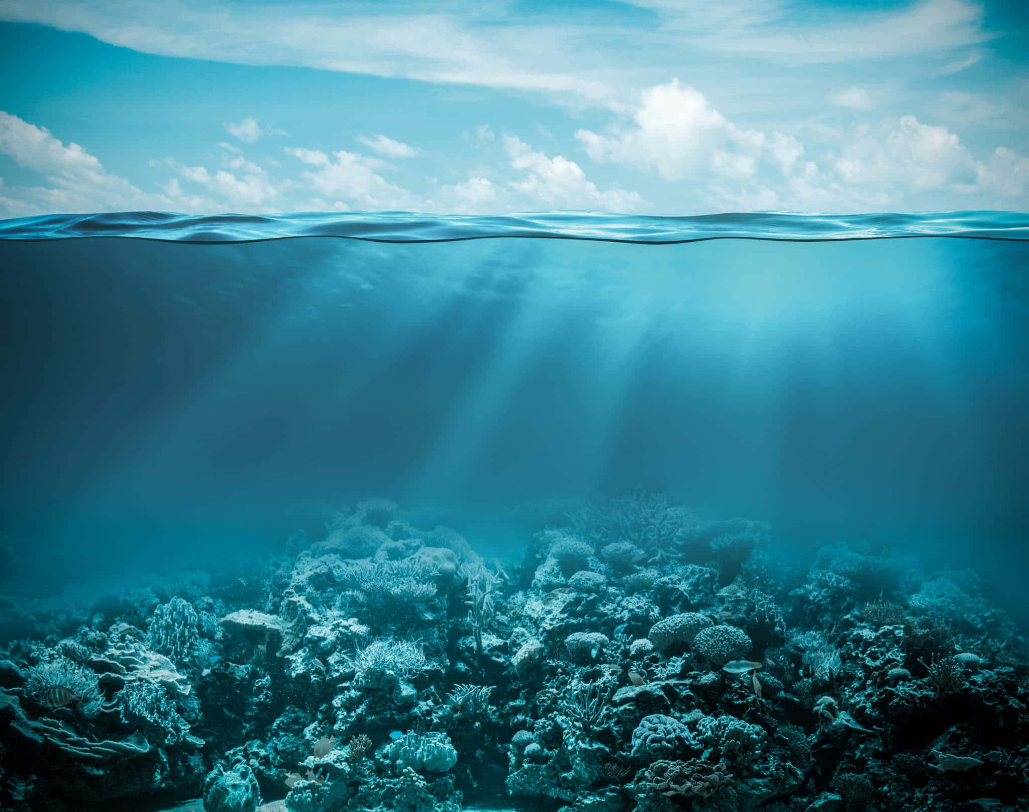 海底的天堂 壁紙 — 陽光穿過清澈的海水，照亮下方充滿活力的珊瑚礁，上方是明亮的天空。