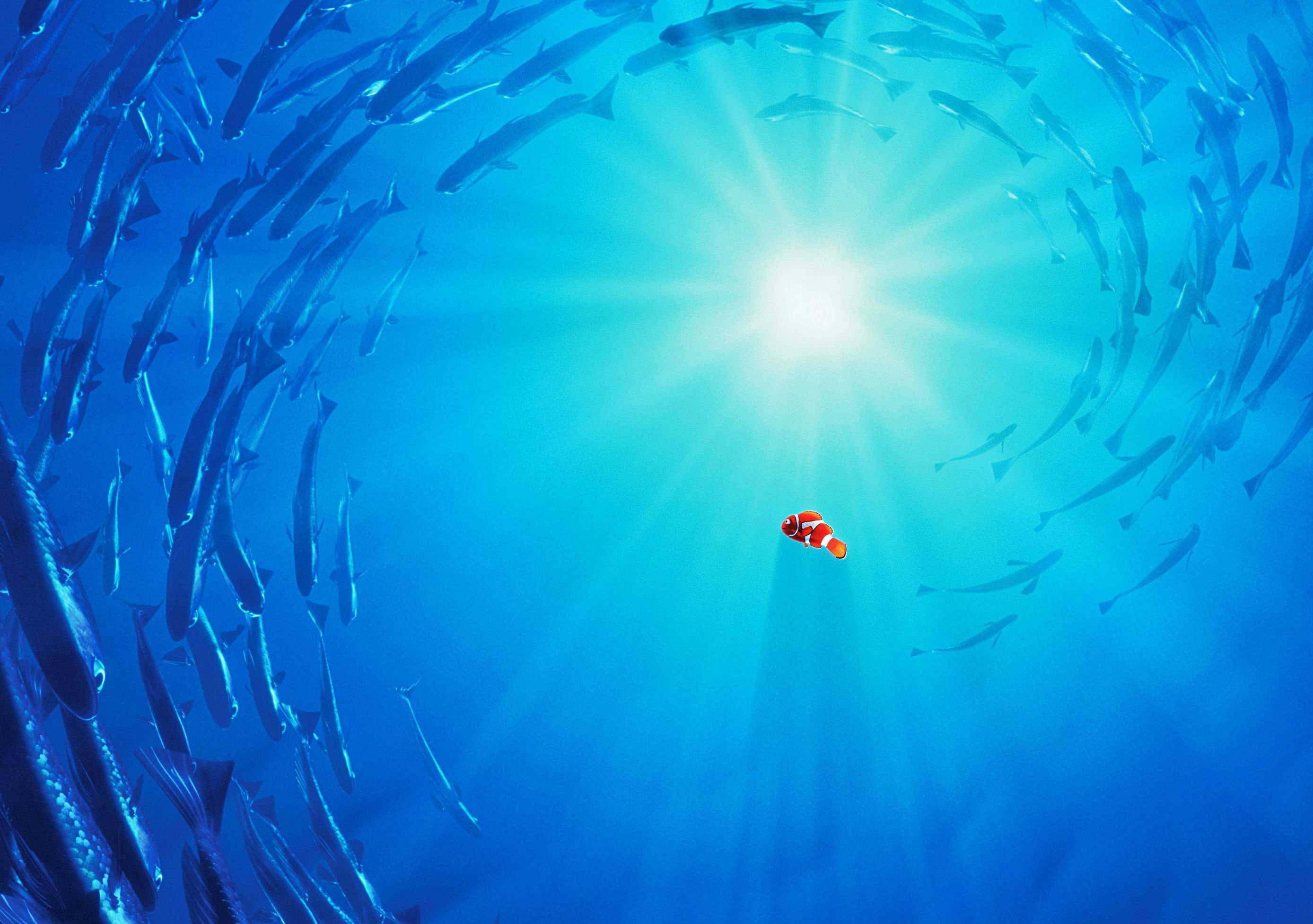 海底總動員：魚群相伴 壁紙 — 一條小丑魚獨自在陽光下游泳，被深藍色海洋中旋轉的銀色魚群包圍。