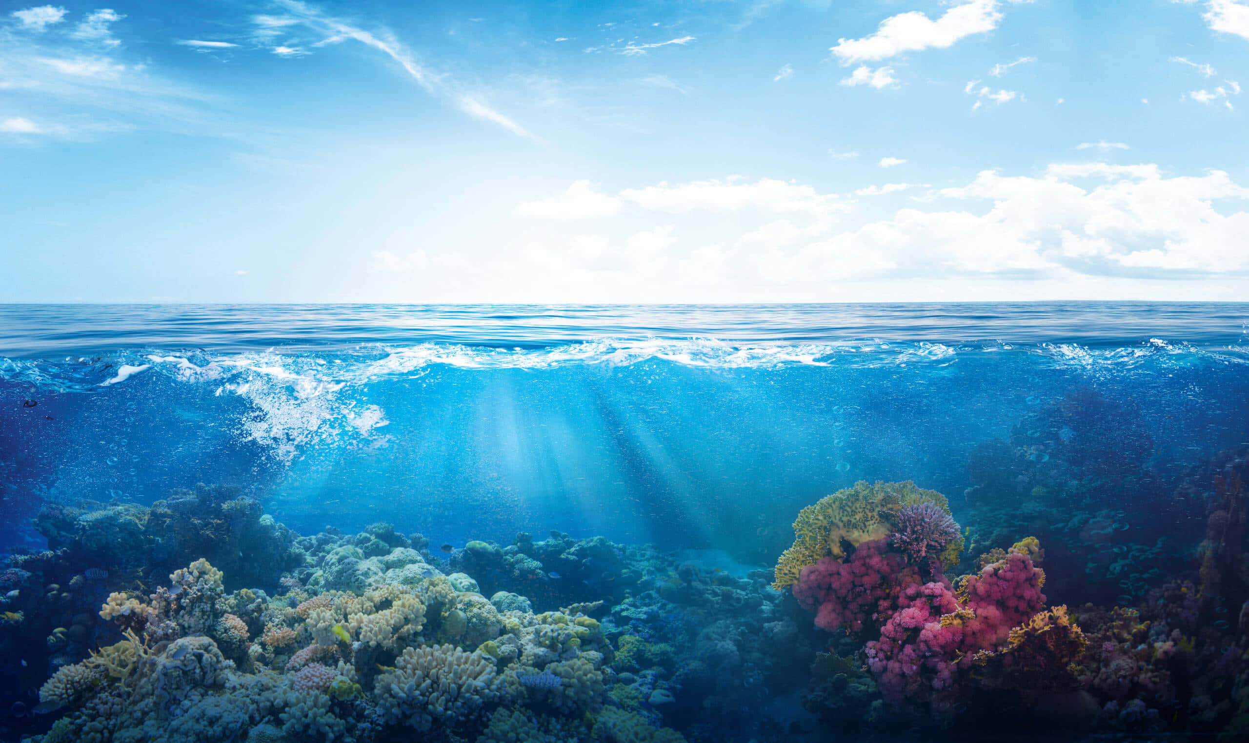 海底美麗的珊瑚礁 壁紙 — 陽光穿過海浪，照亮了湛藍天空下充滿活力的珊瑚礁。