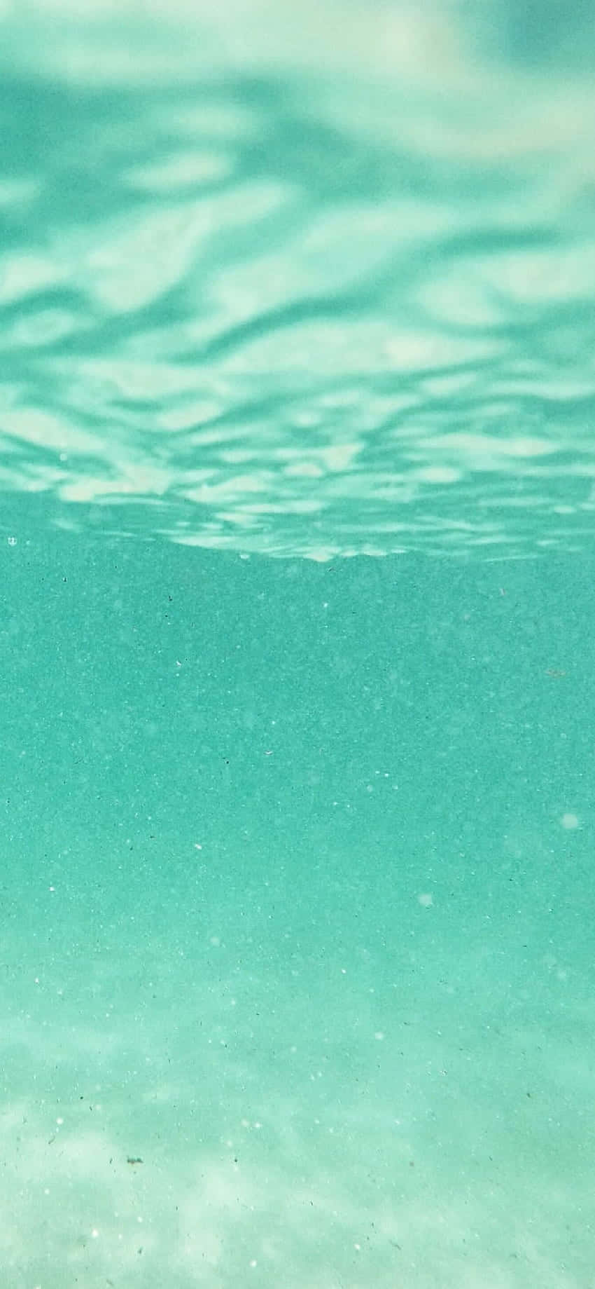 海底視角下的海洋 壁紙