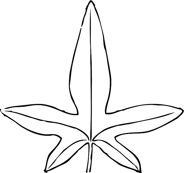 海星剪影圖形 壁紙 — 一個極簡風格的黑色線條繪畫，描繪一隻風格化的海星，有五條細長的腕足，置於純白背景上。