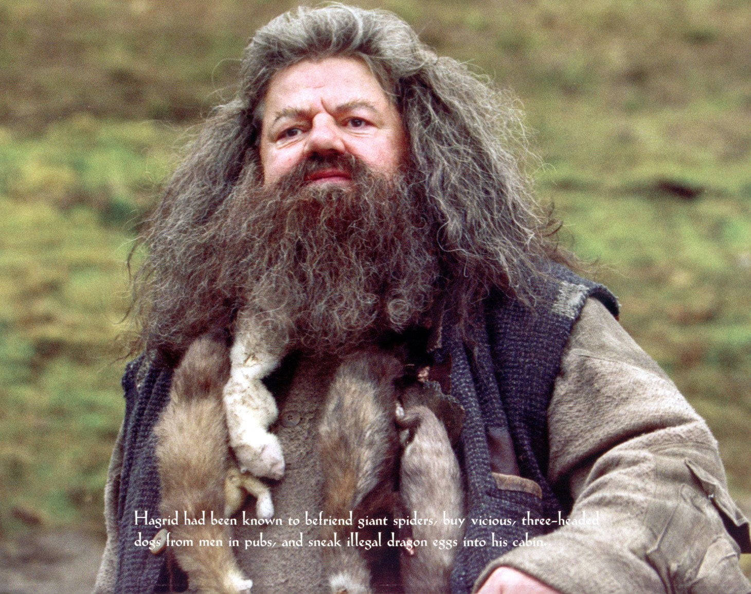 rubeus hagrid 桌布 壁紙 — 海格站在戶外，臉上帶著溫柔的微笑，懷裡抱著一個小生物，背景是模糊的綠色。