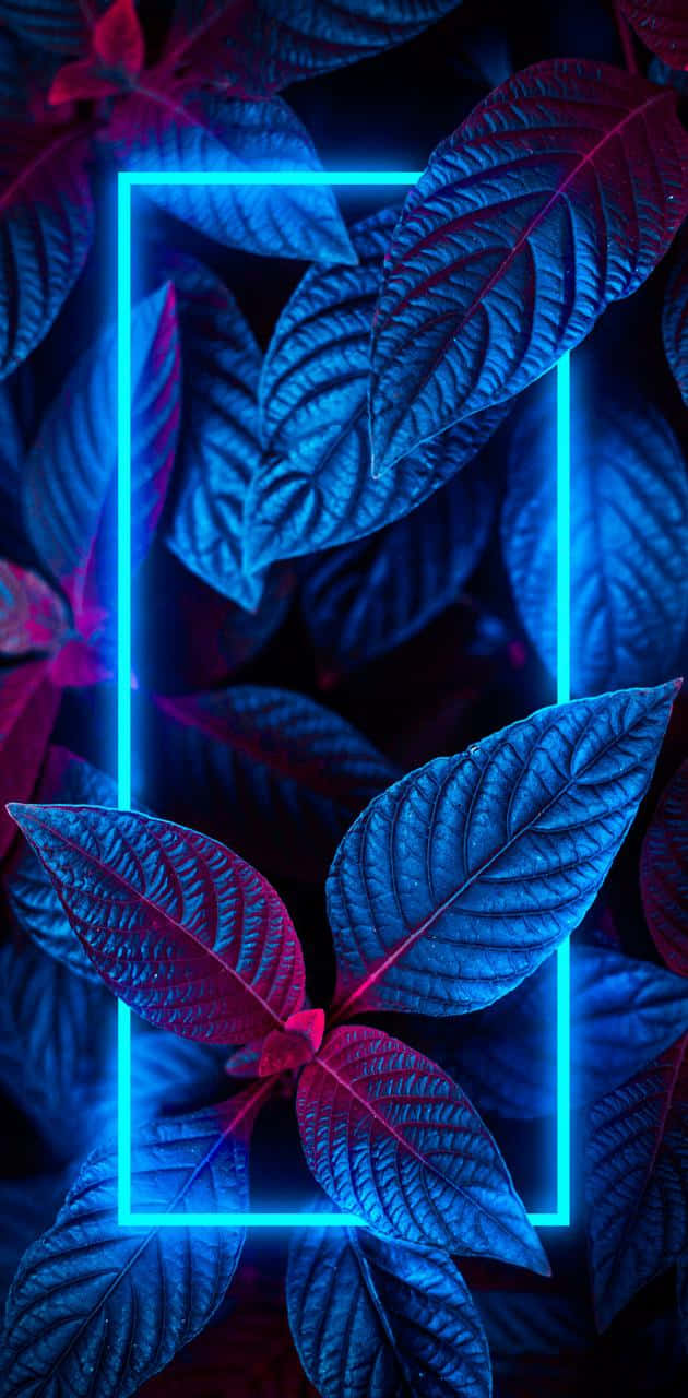 由深紫色和藍色葉子框住的霓虹藍色發光矩形。