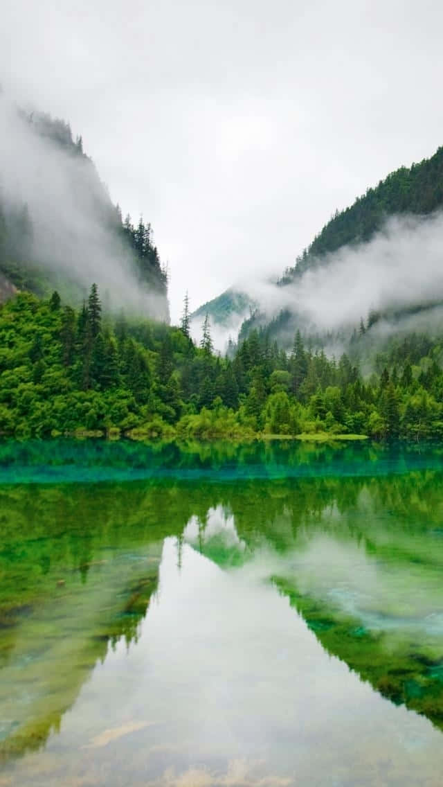 海洋上空的燦爛日出與輝煌天際 壁紙 — 一個霧氣瀰漫的山間湖泊，在陰天之下倒映著翠綠的森林和霧氣繚繞的山峰。