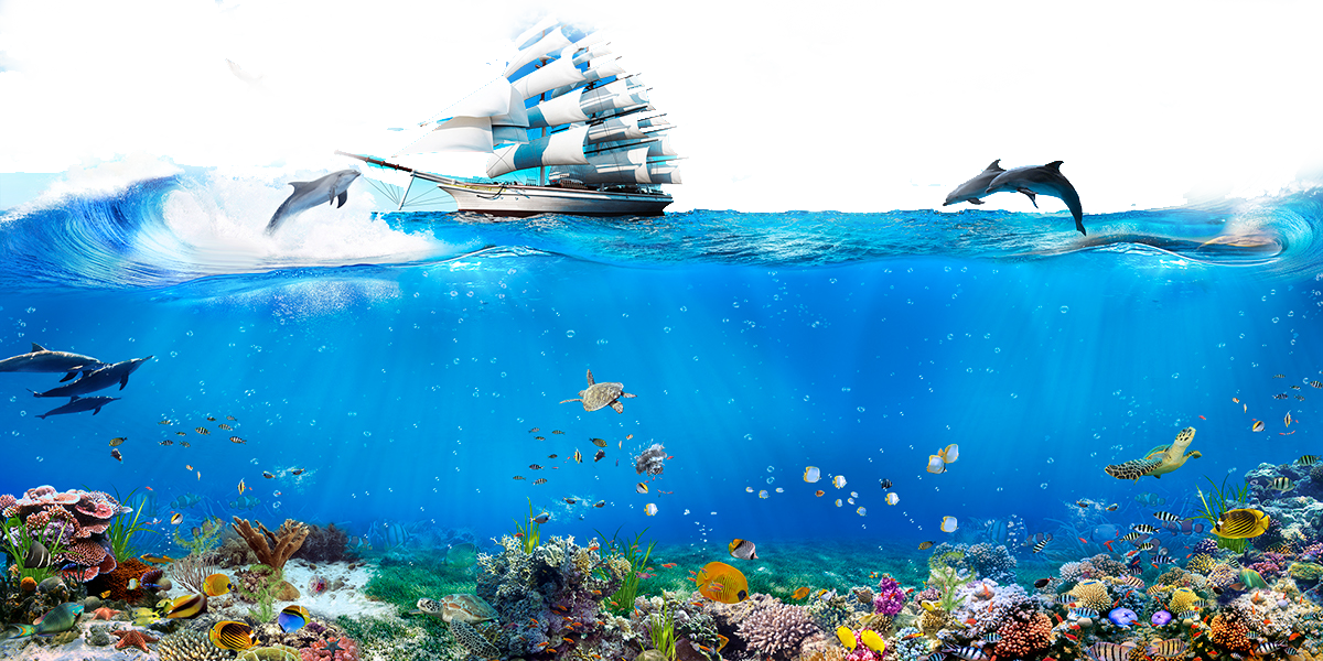 海洋生命分屏視圖 壁紙 — 一艘雄偉的帆船在充滿魚類和海豚在陽光普照的藍色海水中跳躍的 vibrant 珊瑚礁上乘風破浪。