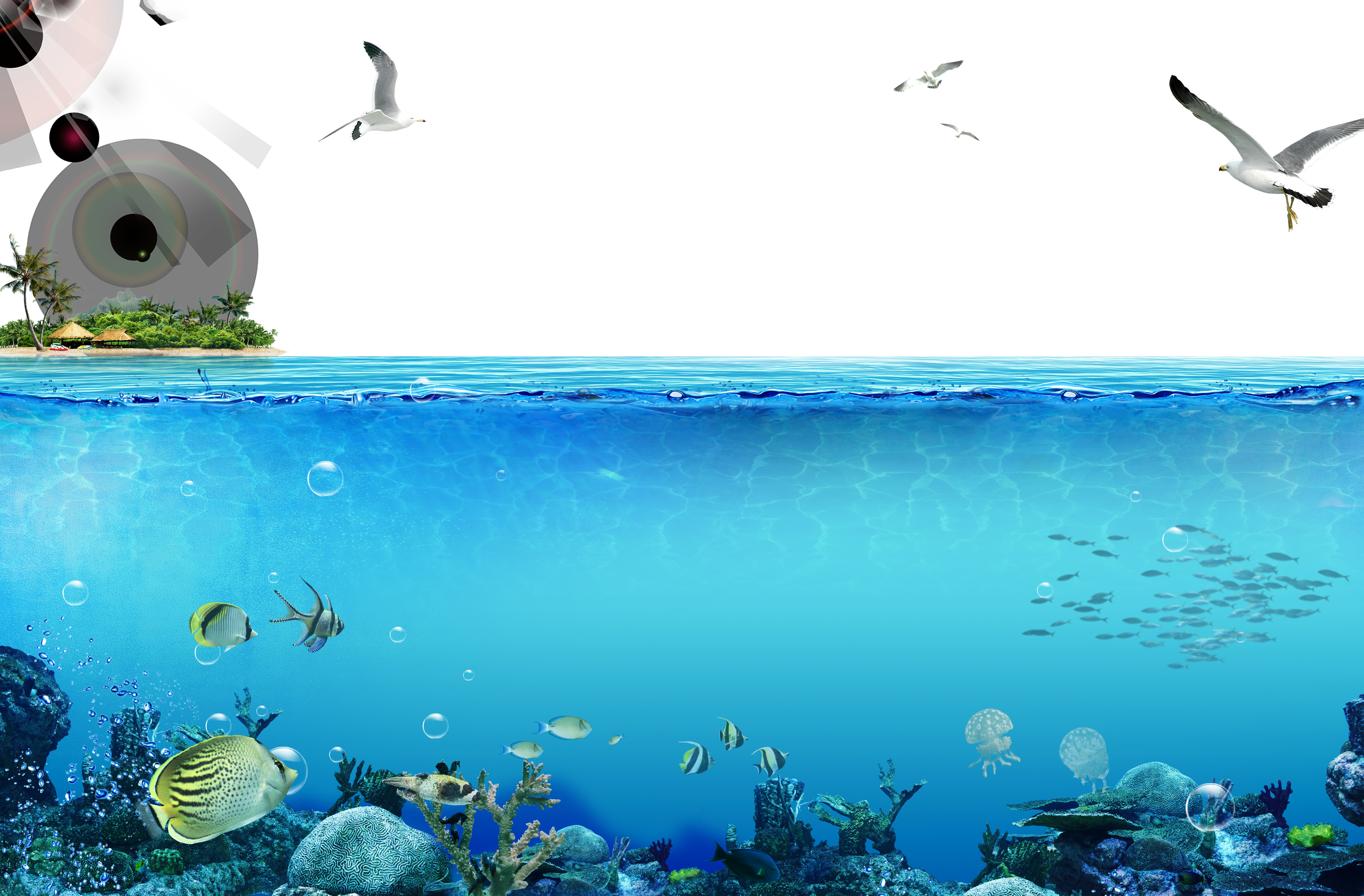 海洋生態分屏視圖 壁紙 — 熱帶魚群聚的 vibrant 珊瑚礁水下景觀，與熱帶島嶼上空黑暗天空中翱翔的海鷗的分割視圖。