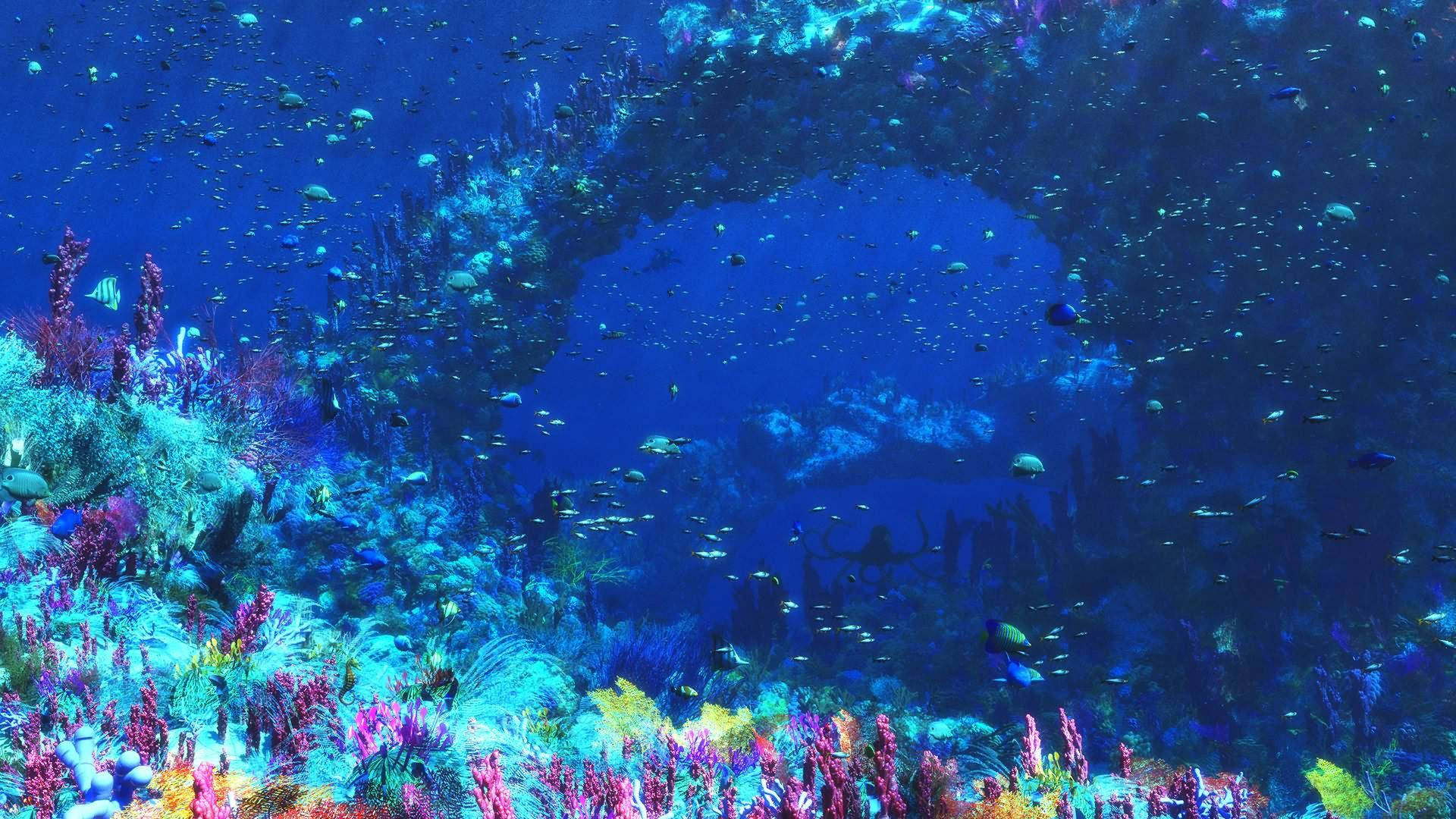 海洋生物桌面壁紙 壁紙 — 深海藍色發光拱門下，色彩繽紛的魚群在充滿活力的珊瑚礁中游弋。