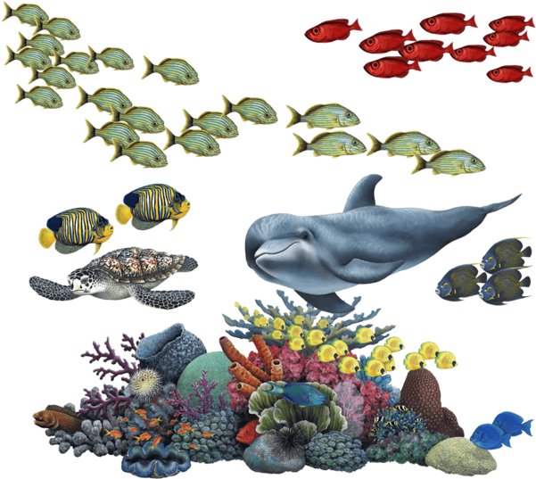 海洋生物與珊瑚礁插畫 壁紙 — 充滿活力的海底場景，有海豚、色彩繽紛的珊瑚礁和成群條紋魚在黑色背景中游動。