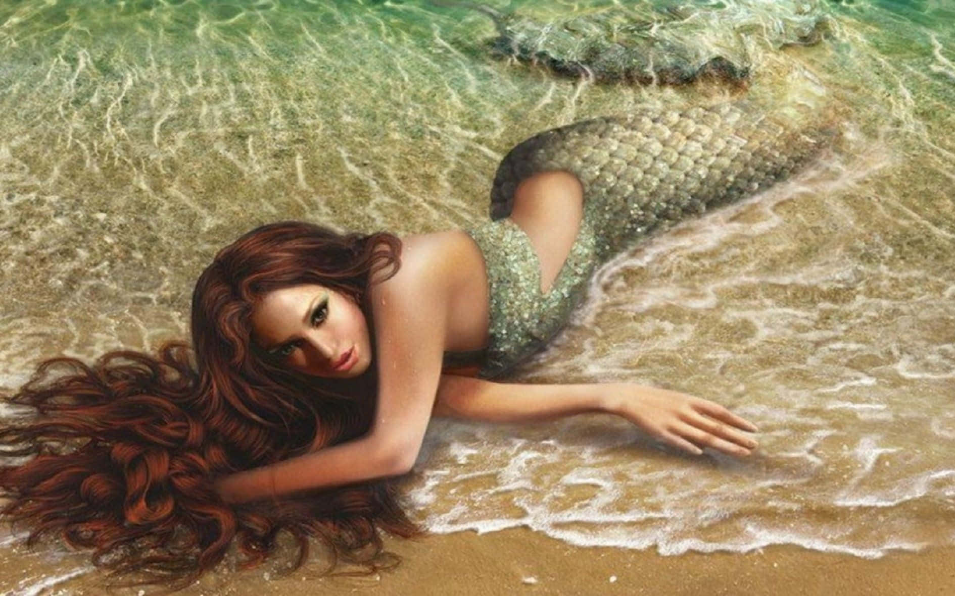 一位長著棕色長髮的美人魚躺在沙灘的淺海水中。