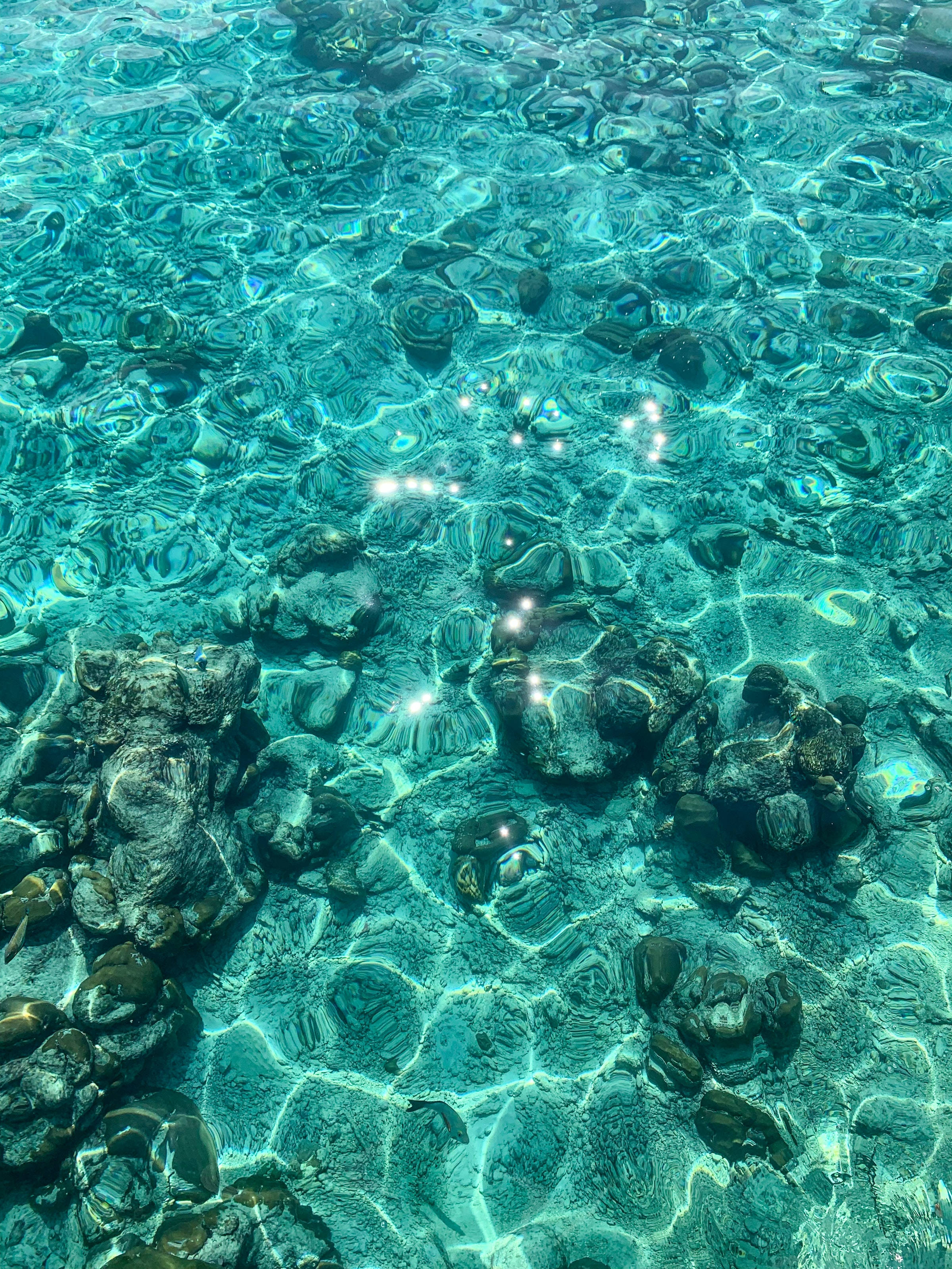 海洋藍色水域下的岩石 壁紙 — 陽光在水晶般清澈的碧綠水面上舞動，顯露出下方光滑的深色岩石。