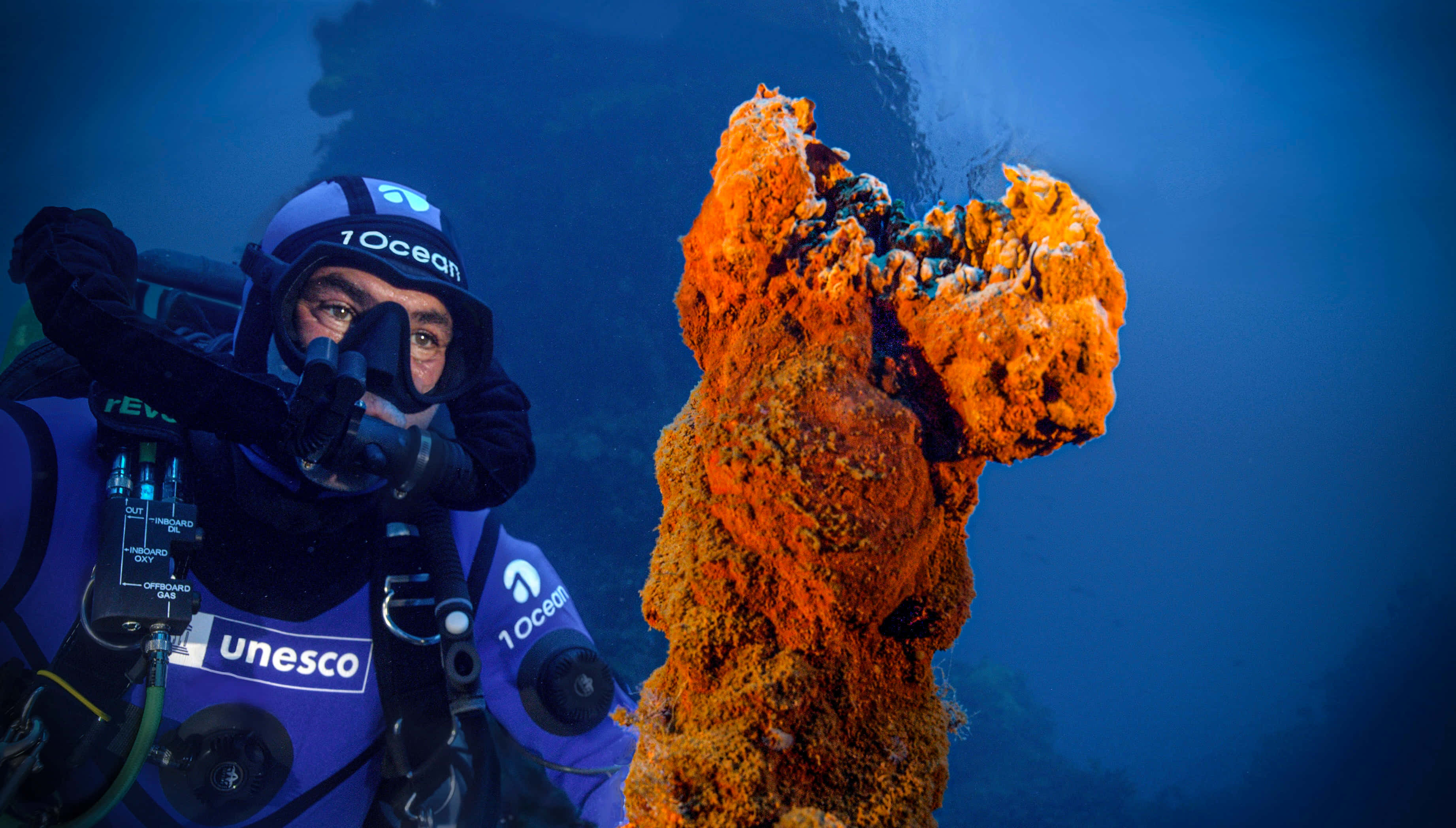 海洋表面之下藏著神秘與美麗的世界 壁紙 — 一名身穿藍色UNESCO潛水服的潛水員在深藍色海洋中檢查水下鮮豔的橙色珊瑚形成。