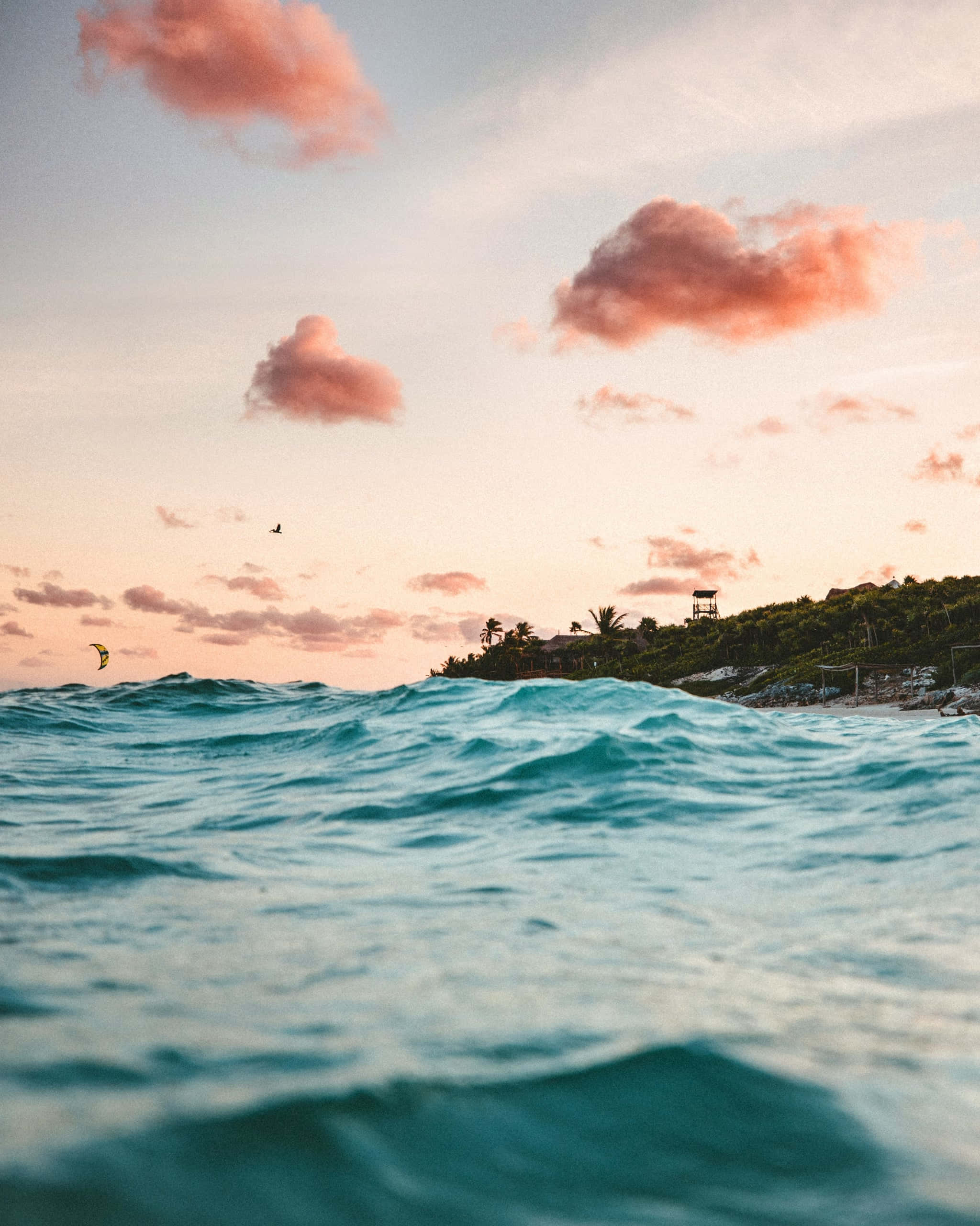 海浪夏日美學畫面 壁紙 — 從海浪低角度觀賞日落時分，粉紅雲彩與風箏衝浪者在棕櫚樹成蔭的海岸附近碧綠海面上滑行。