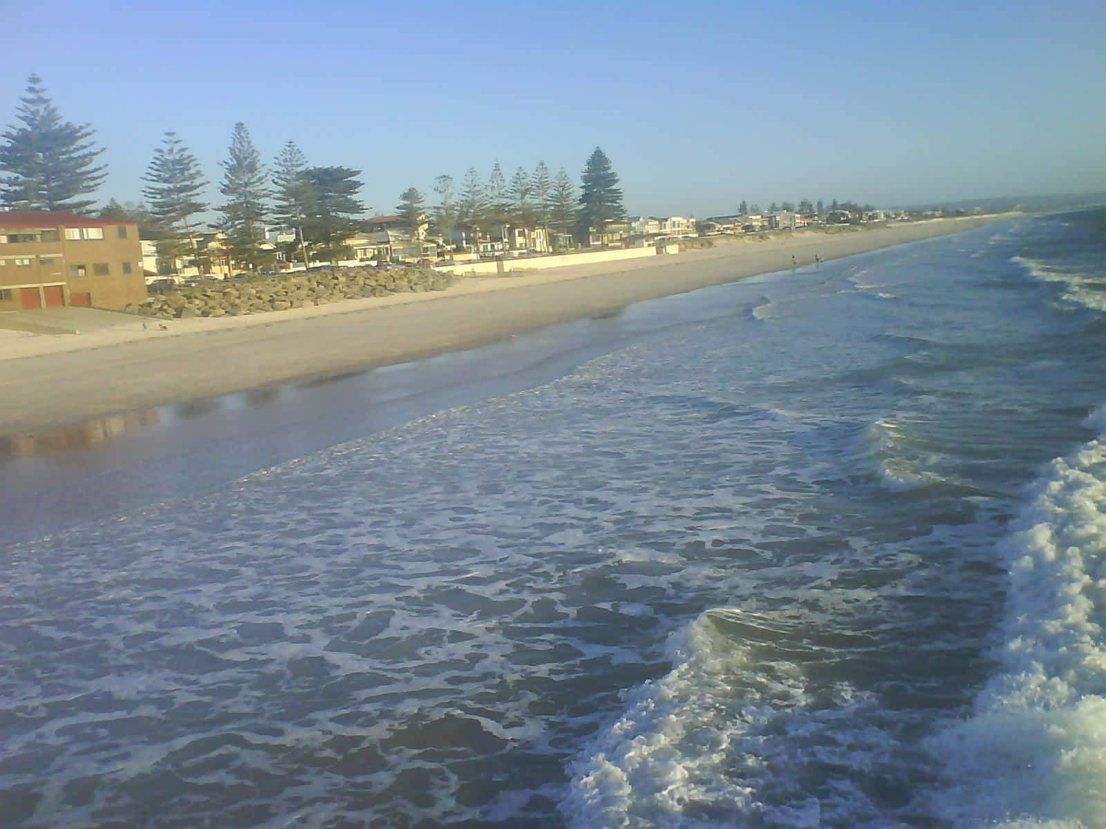 Adelaide 桌布 壁紙 — 海浪拍打著沙灘，沙灘兩旁種滿松樹和沿海房屋，天空清澈湛藍。