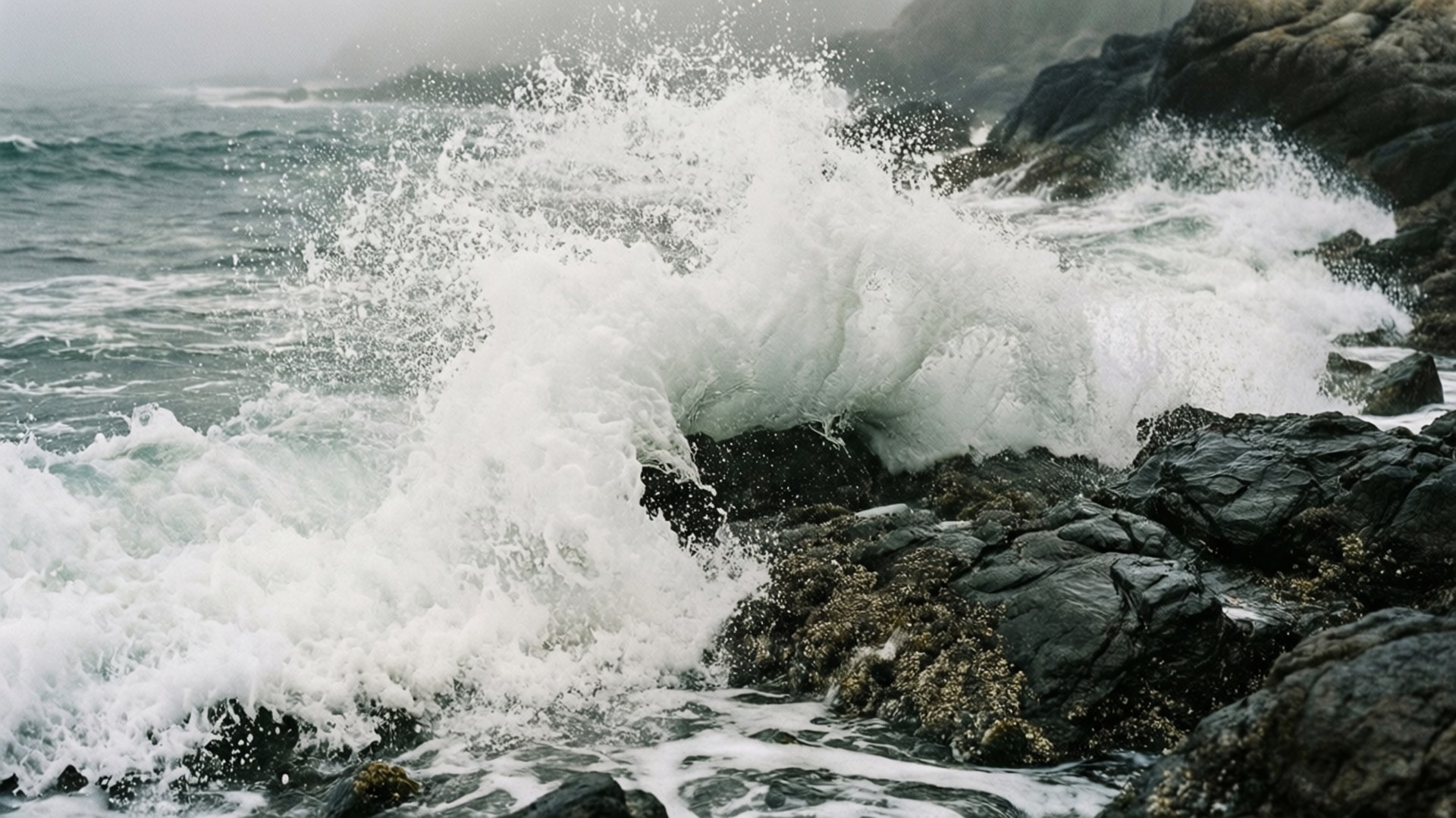 在霧氣中，海浪拍打著黑色岩石。