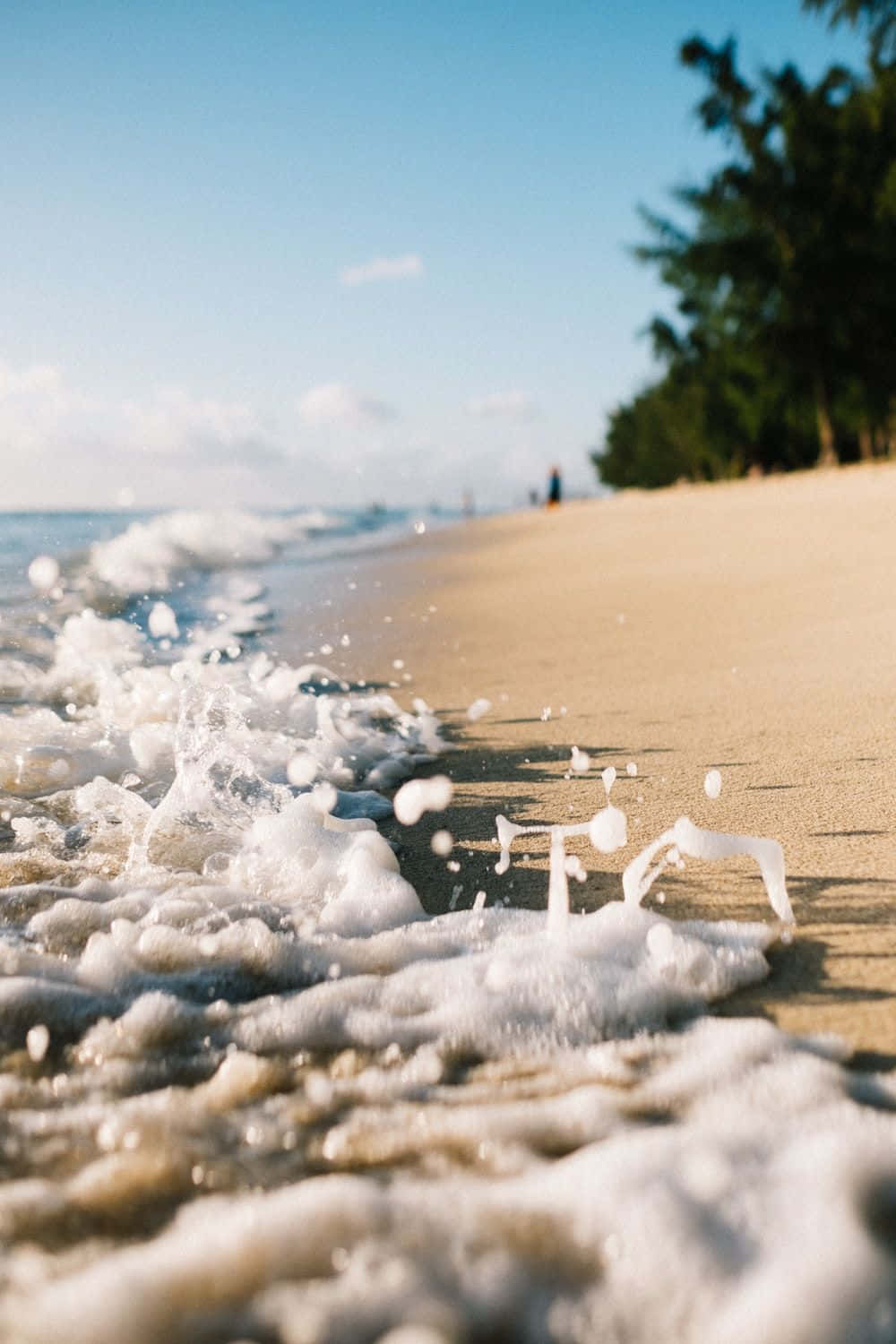 海浪拍打沙灘，背景有綠樹