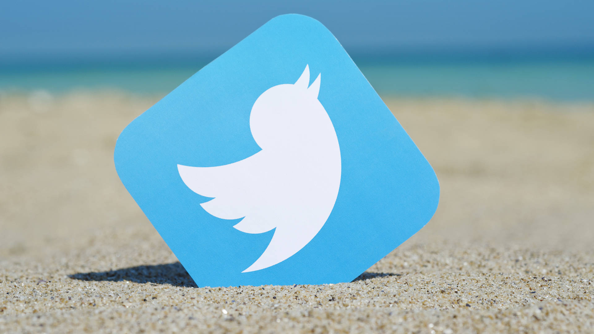 海灘上的 Twitter 標誌 壁紙 — 一個藍色Twitter標誌剪影豎立在沙灘前景，背景是模糊的海洋和天空。