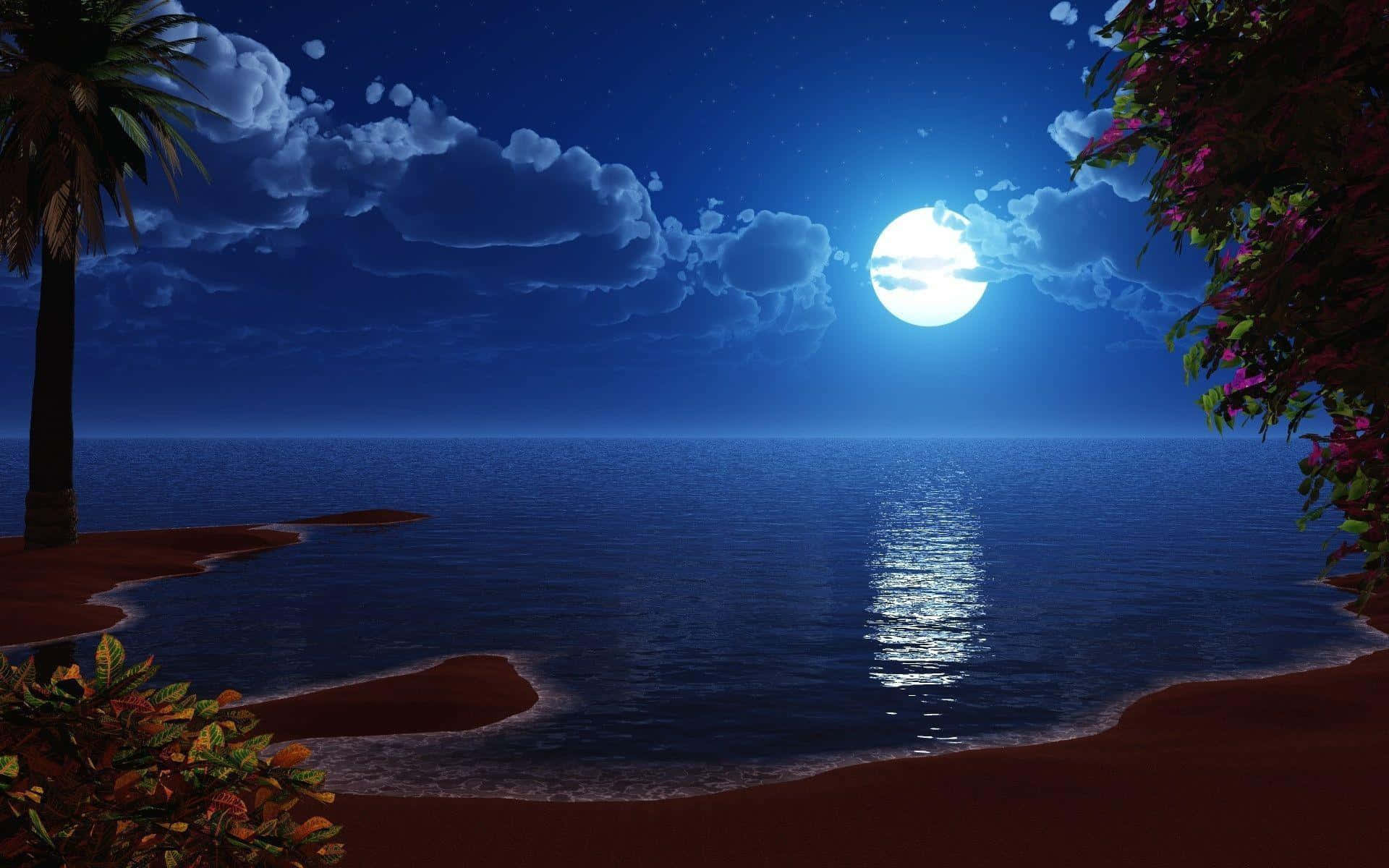 海灘上的寧靜黃昏 壁紙 — 寧靜的月光海灘場景，滿月在平靜的海面上投射出閃爍的光芒，周圍環繞著棕櫚樹和開花的灌木叢。