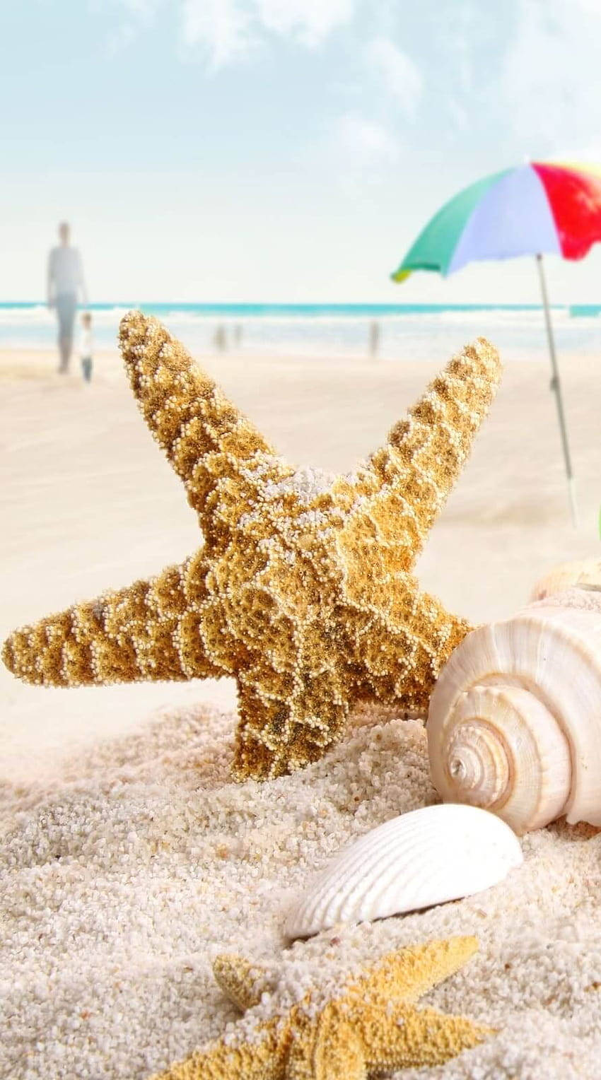 海灘上的海星與貝殼，配上一把遮陽傘 壁紙