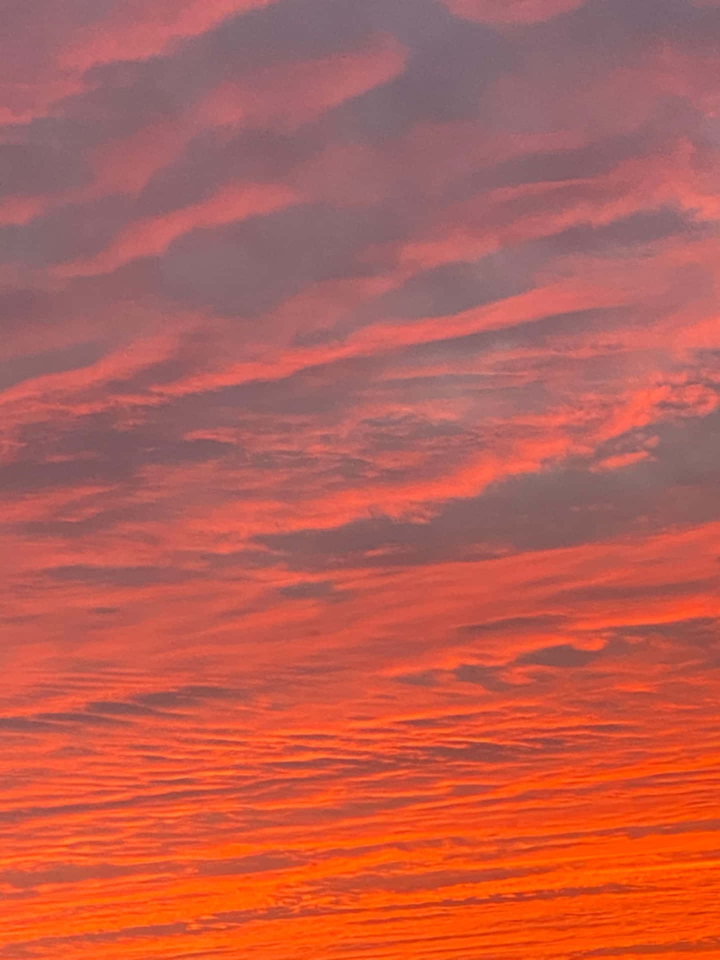熾熱的橙色和粉紅色雲彩劃過戲劇性的日落天空。