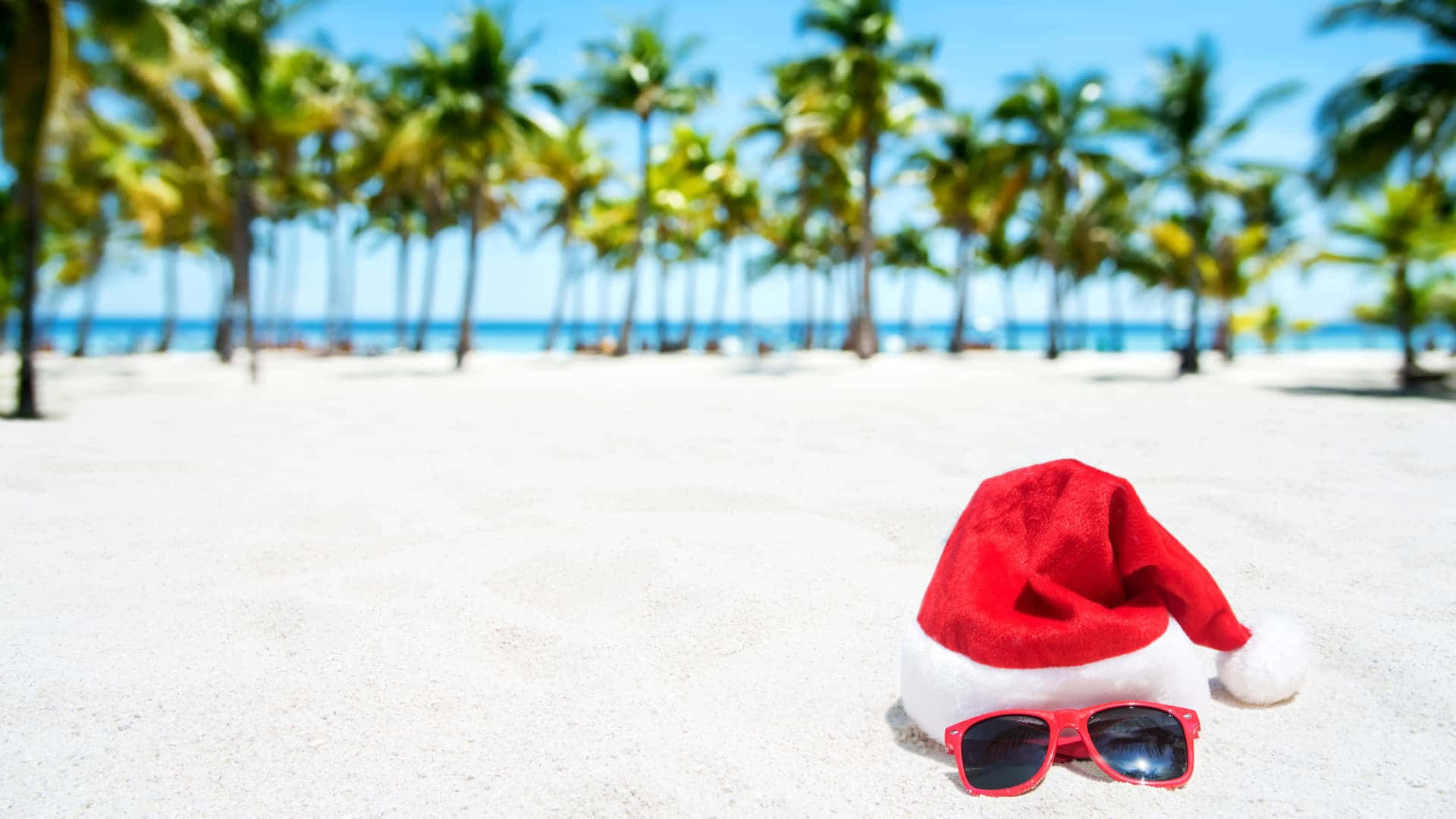 聖誕帽和太陽眼鏡在熱帶海灘上，有棕櫚樹。