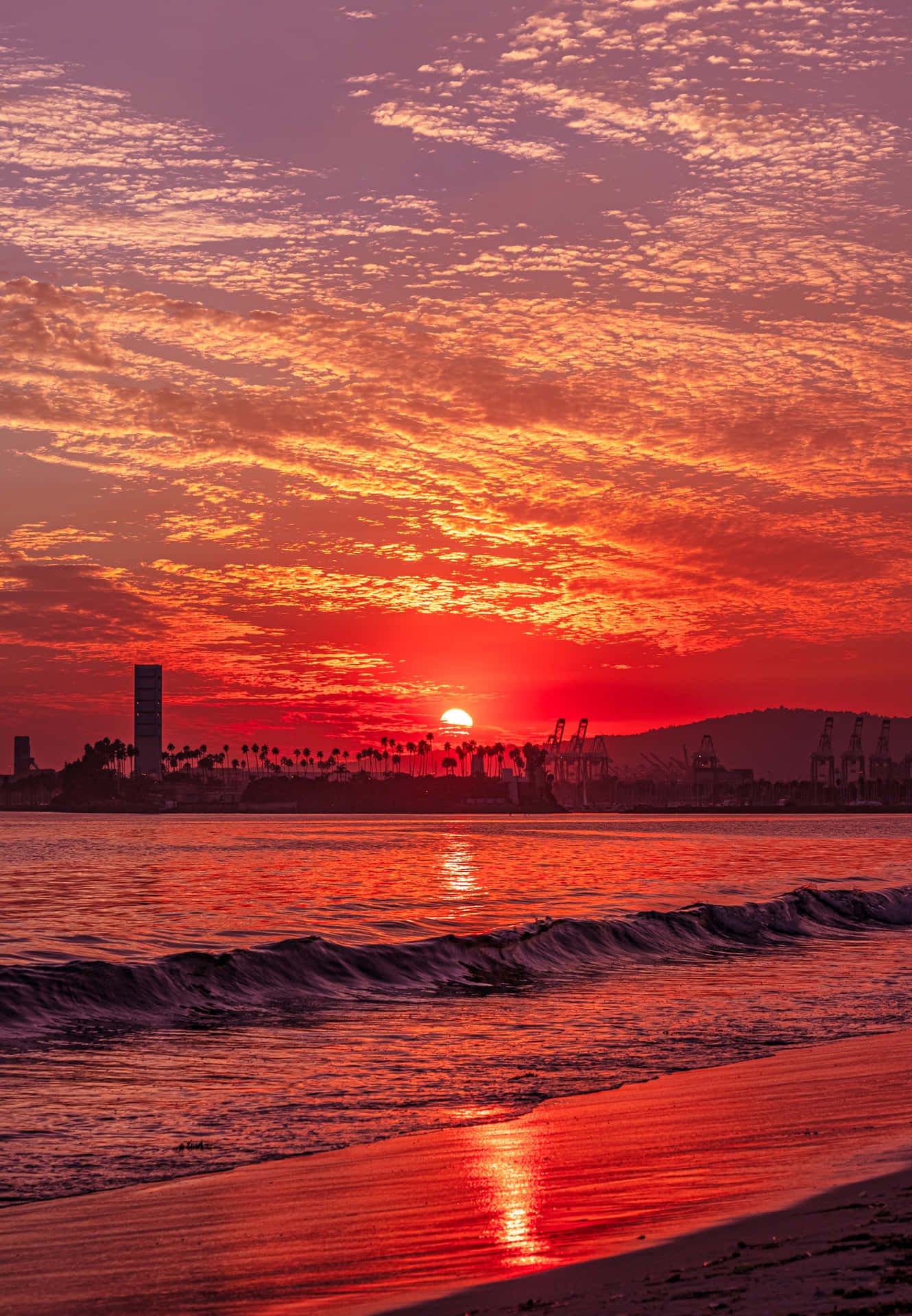 夕陽映照海洋，城市天際線和海浪拍打沙灘