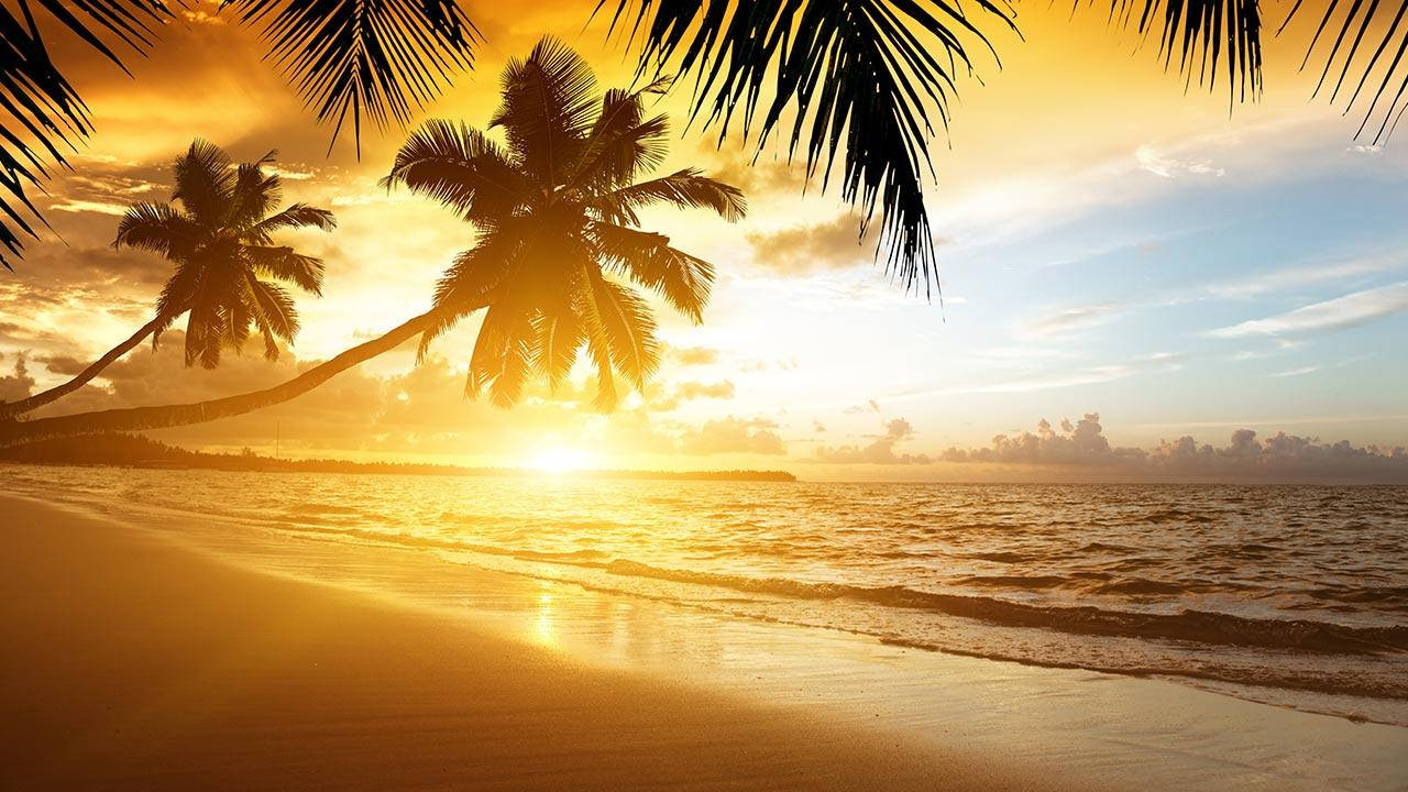 熱帶海灘上的日落，有棕櫚樹和寧靜的海浪。