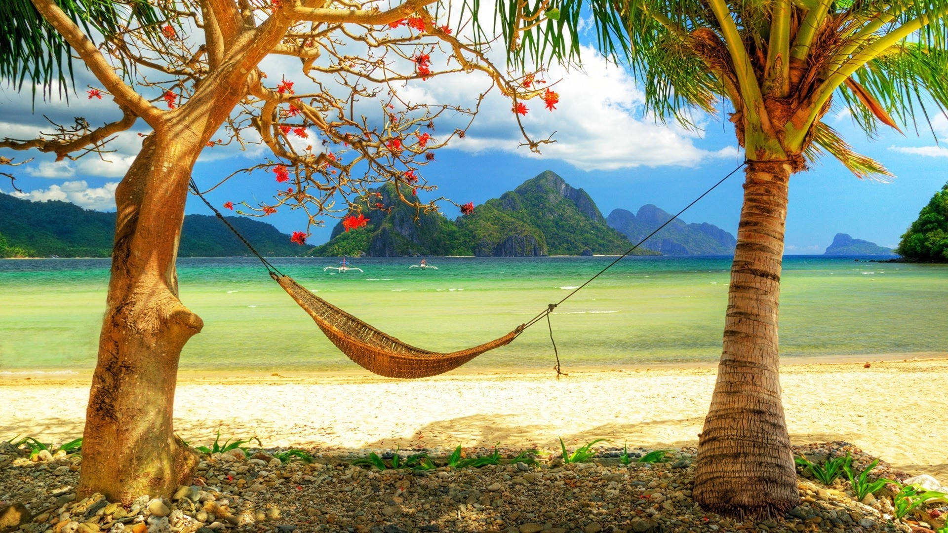 熱帶海灘樹木間的吊床，有碧綠的海水和島嶼