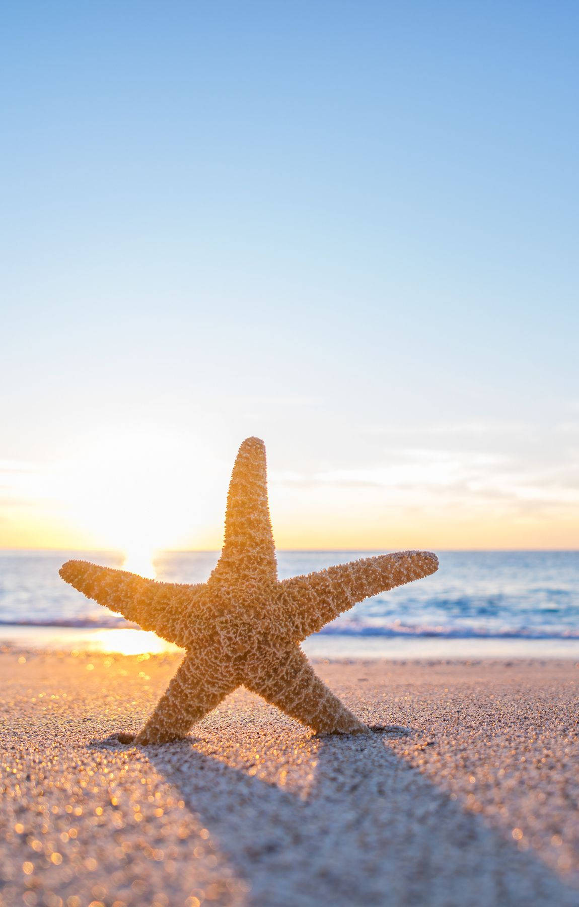 金色夕陽與海浪的海灘上的海星