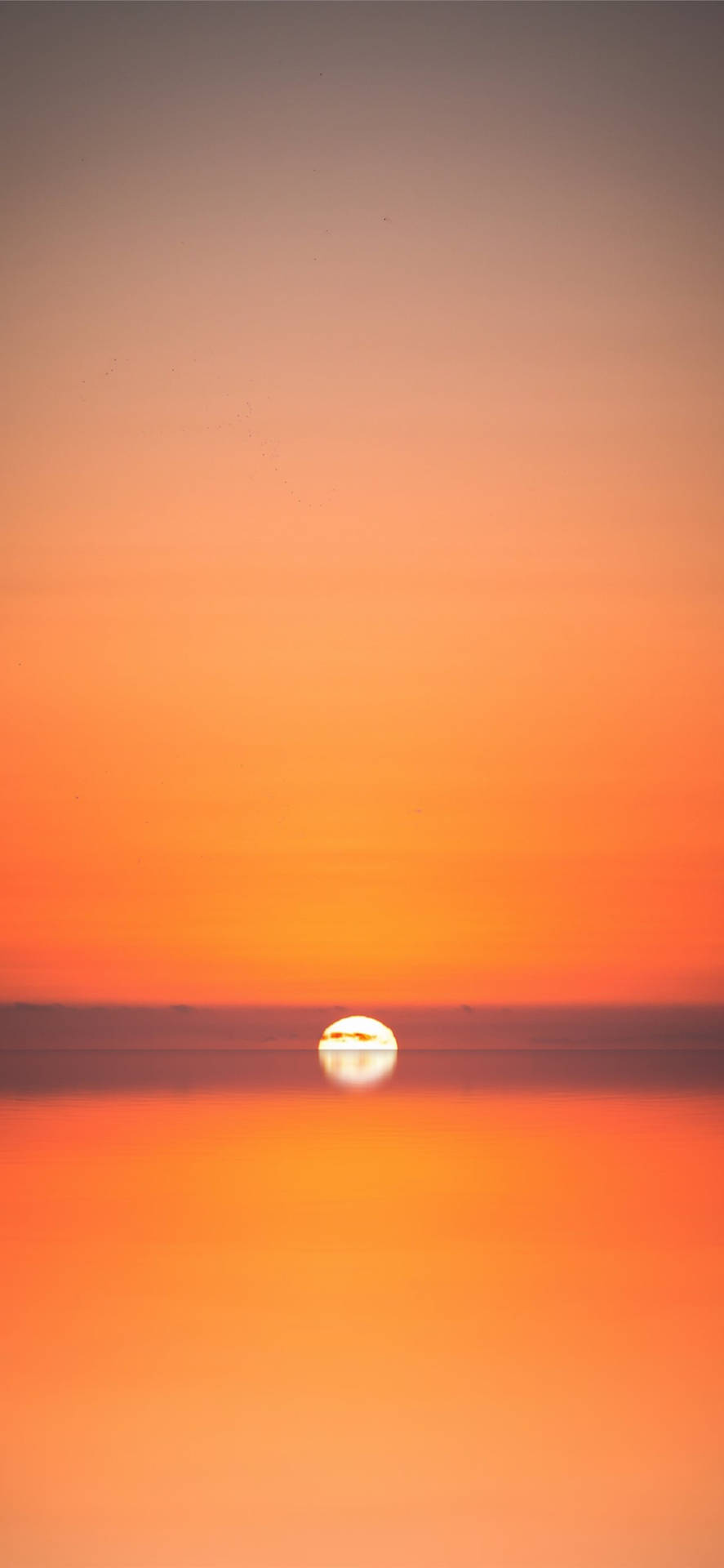 海灘日落 iPhone 壁紙 — 寧靜的日落，一顆發光的太陽懸浮在平靜的水面上，反射出溫暖的橙色和粉紅色調。