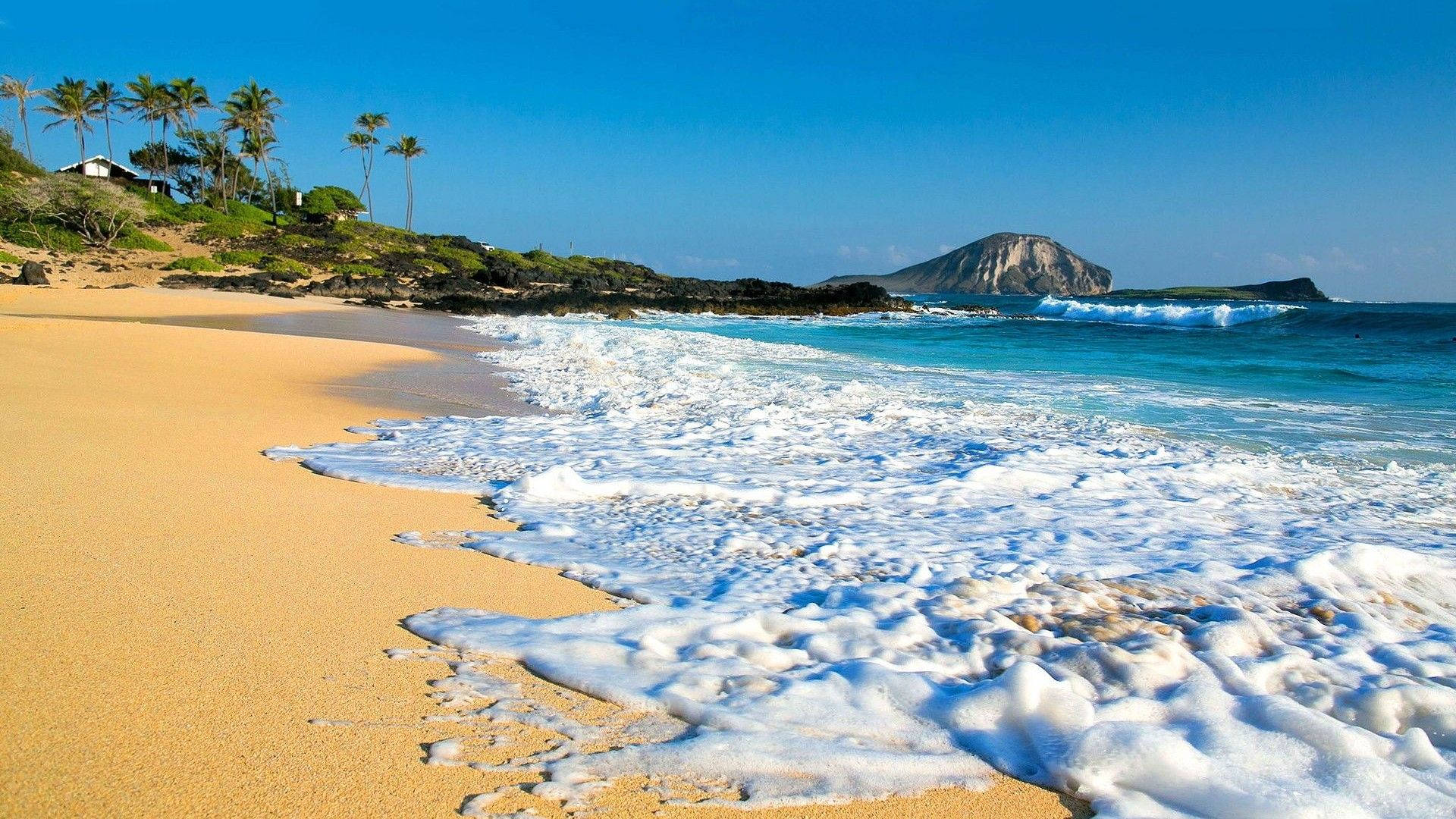 海灘氣泡清新遠眺 壁紙 — 金色沙灘遇上碧綠海浪，在清澈藍天下，棕櫚樹和遠處的火山島。