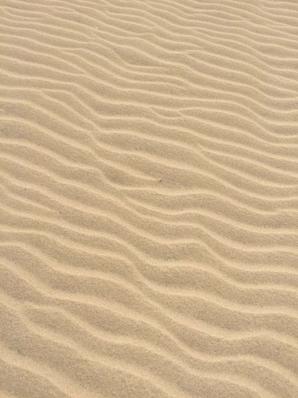 海灘沙浪紋理圖 壁紙 — 柔和日光下，沙漠地面光滑金色沙紋形成溫柔波浪的特寫。