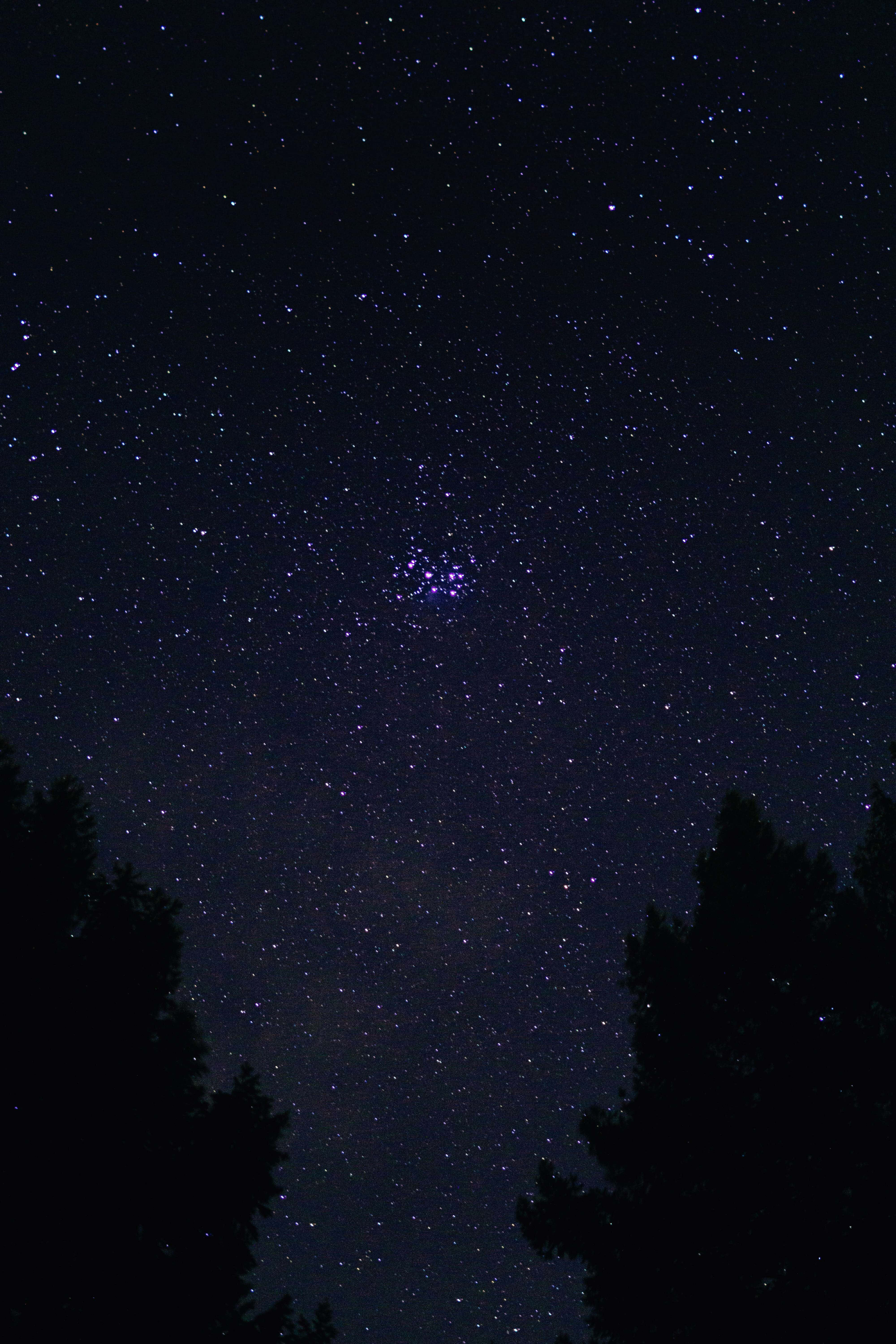 海灘浪漫日落景觀 壁紙 — 漆黑的樹影襯托著繁星點點的夜空，中央有一團明亮的星團在發光。