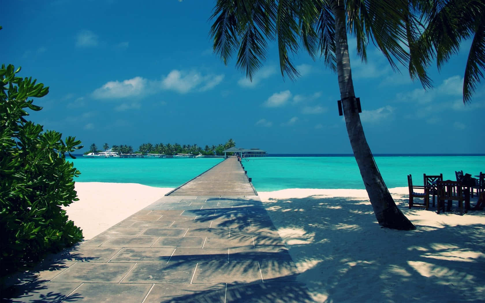 海灘風景 夏日唯美白沙 壁紙 — 木製碼頭延伸至碧綠色的海水，在棕櫚樹和白色沙灘的映襯下，天空湛藍明亮。